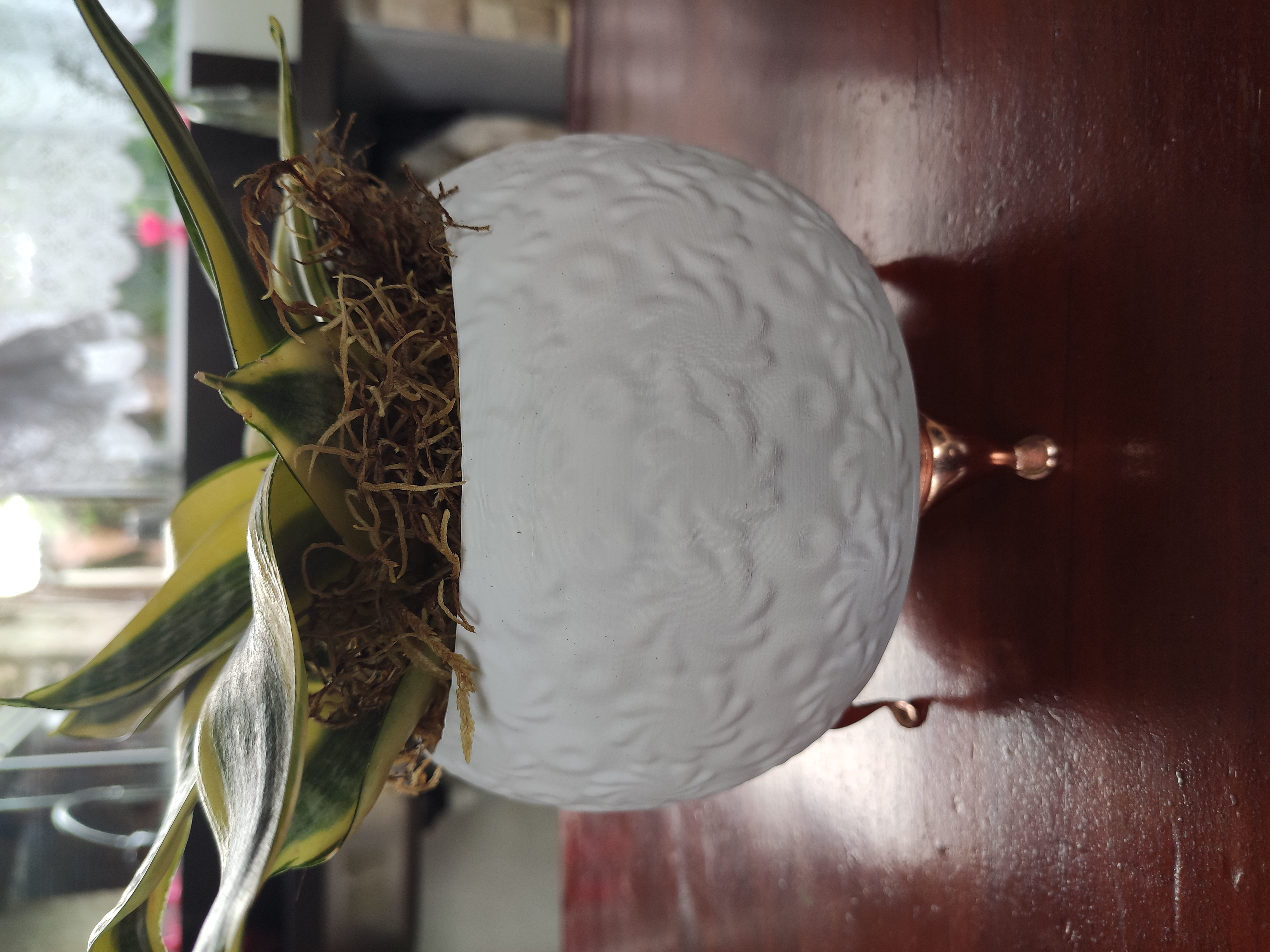 Modern Vase Collection - plant vase 3D print model_20