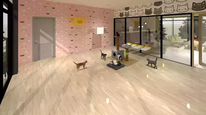 Cat cafe