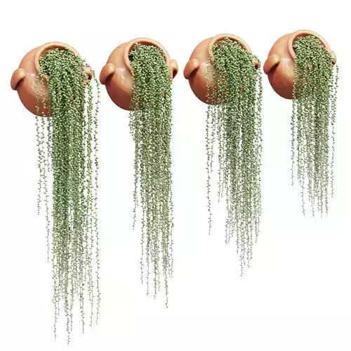 Culley Terracotta Pot 3D model