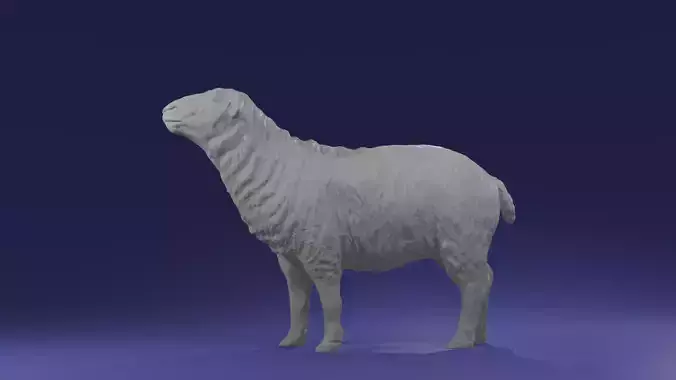 Sheep realistic for printing diorama - looking up  3D print model