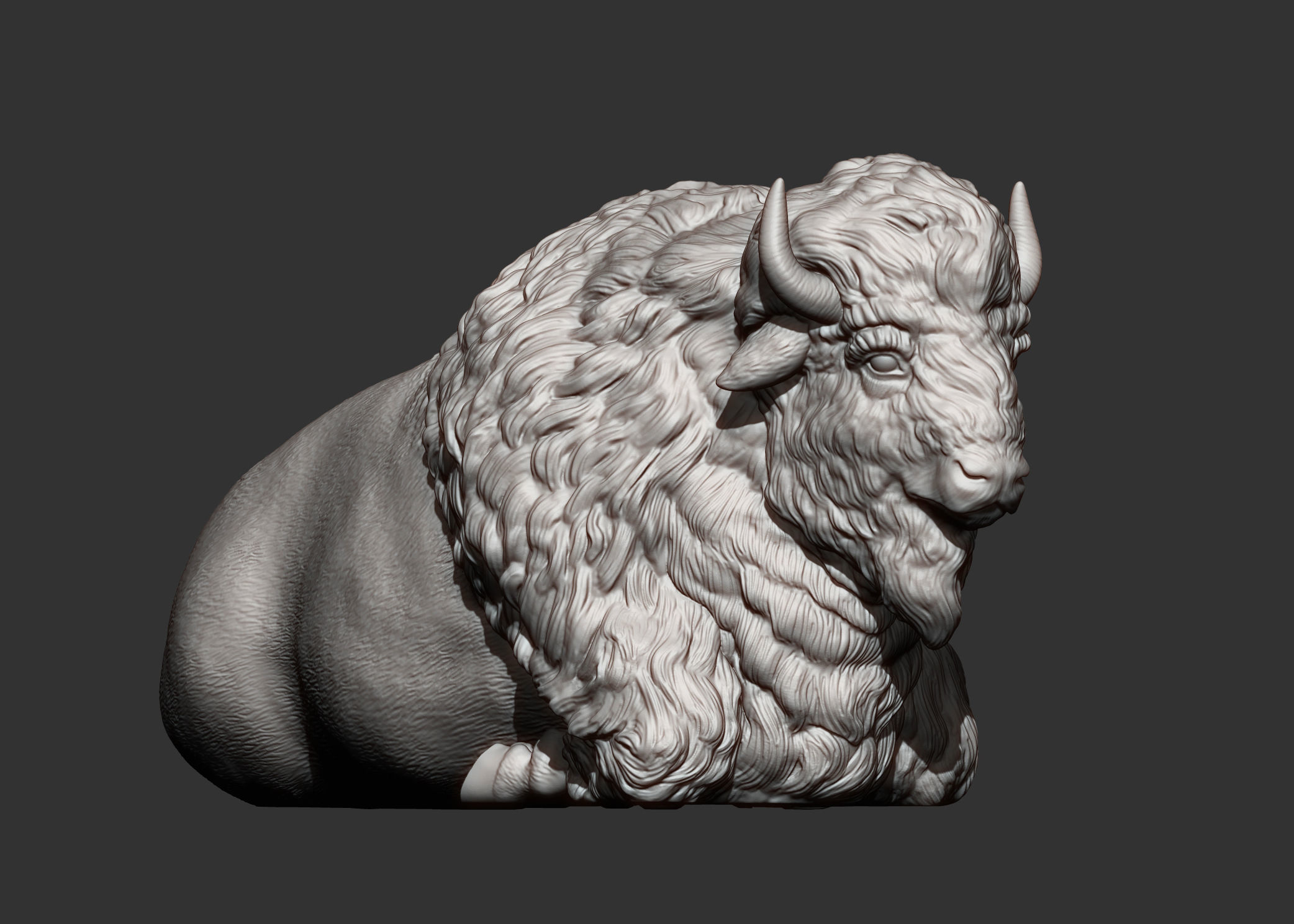 Bison 3D print model_10