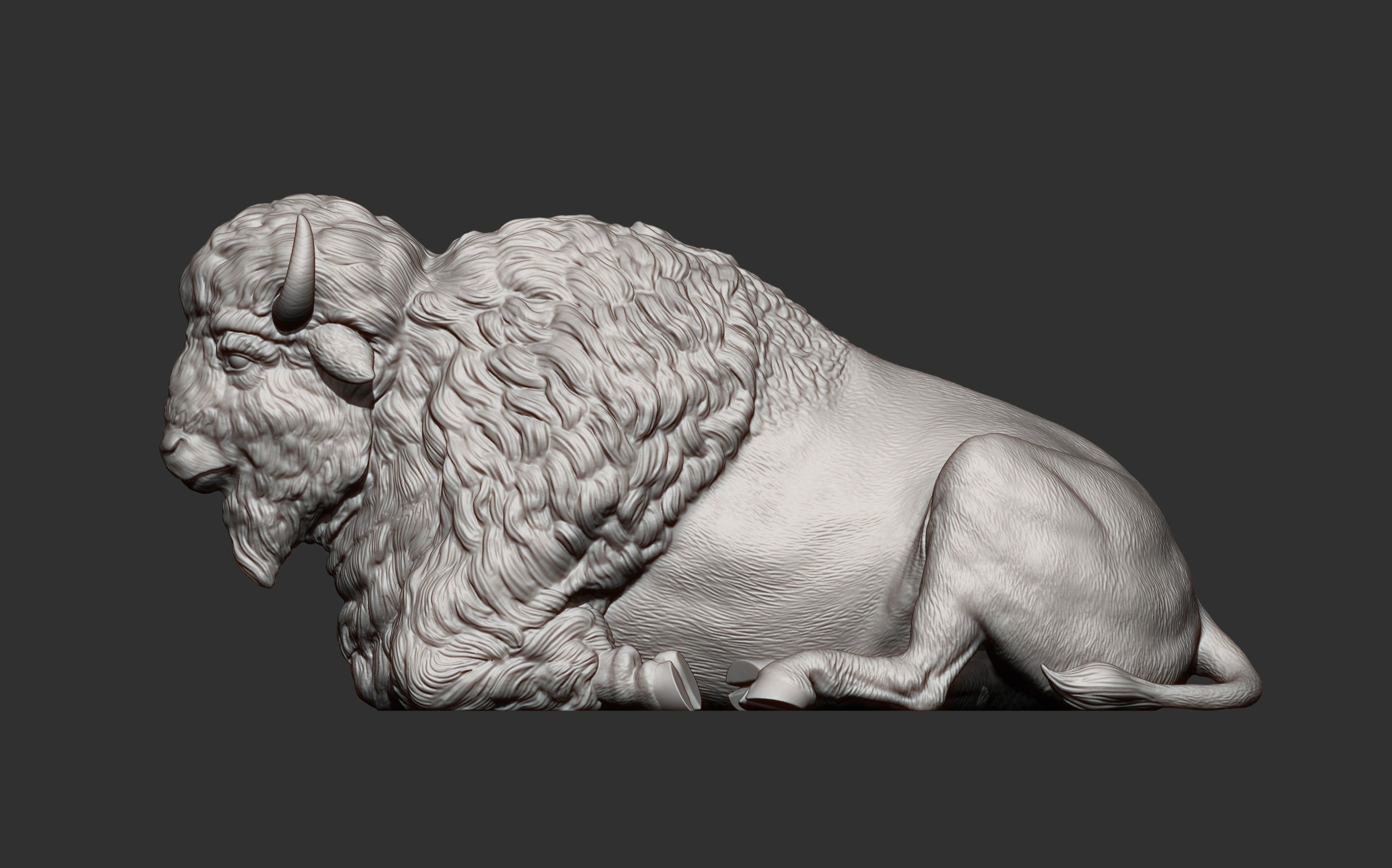 Bison 3D print model_8