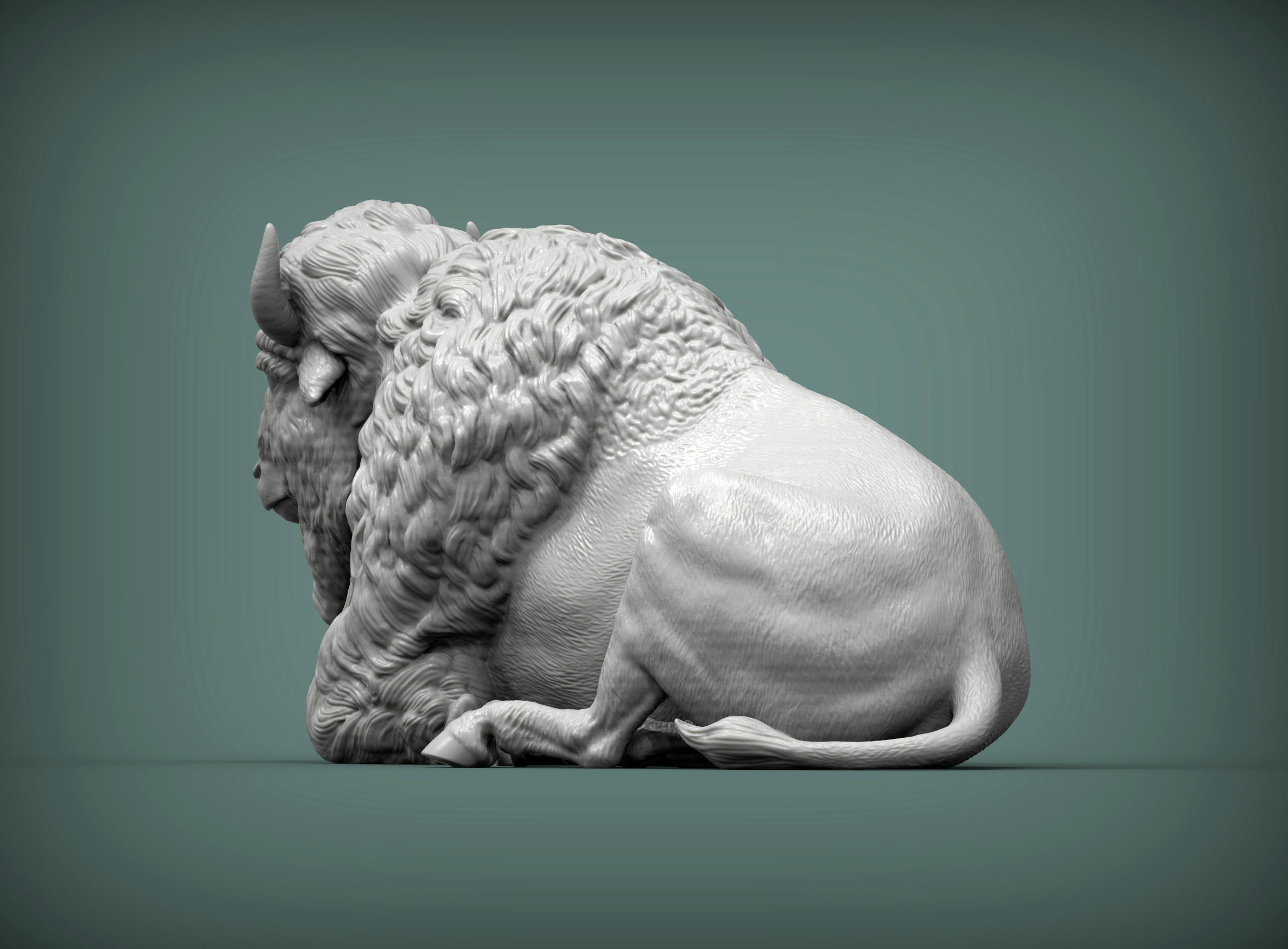 Bison 3D print model_2