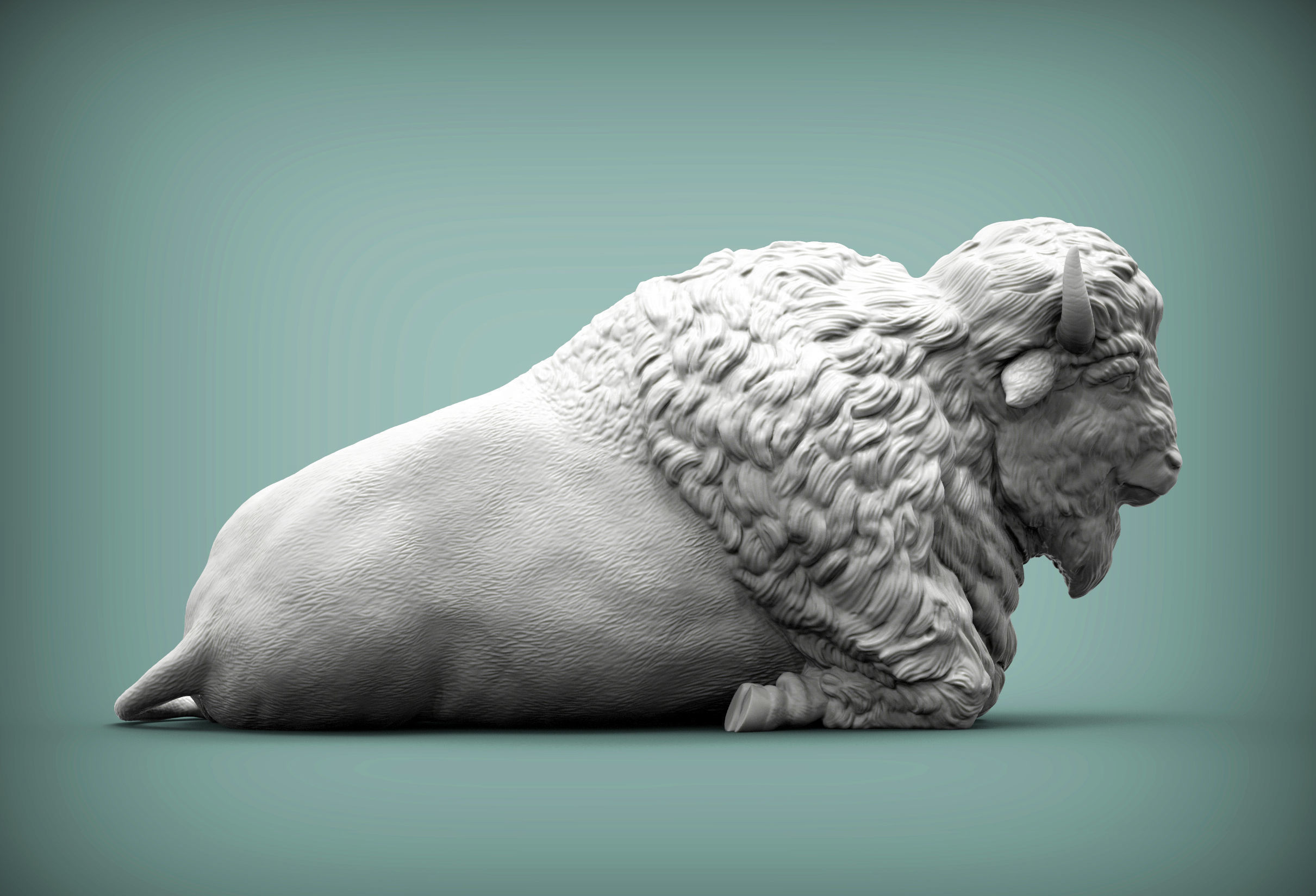 Bison 3D print model_4