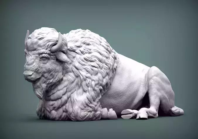 Bison 3D print model