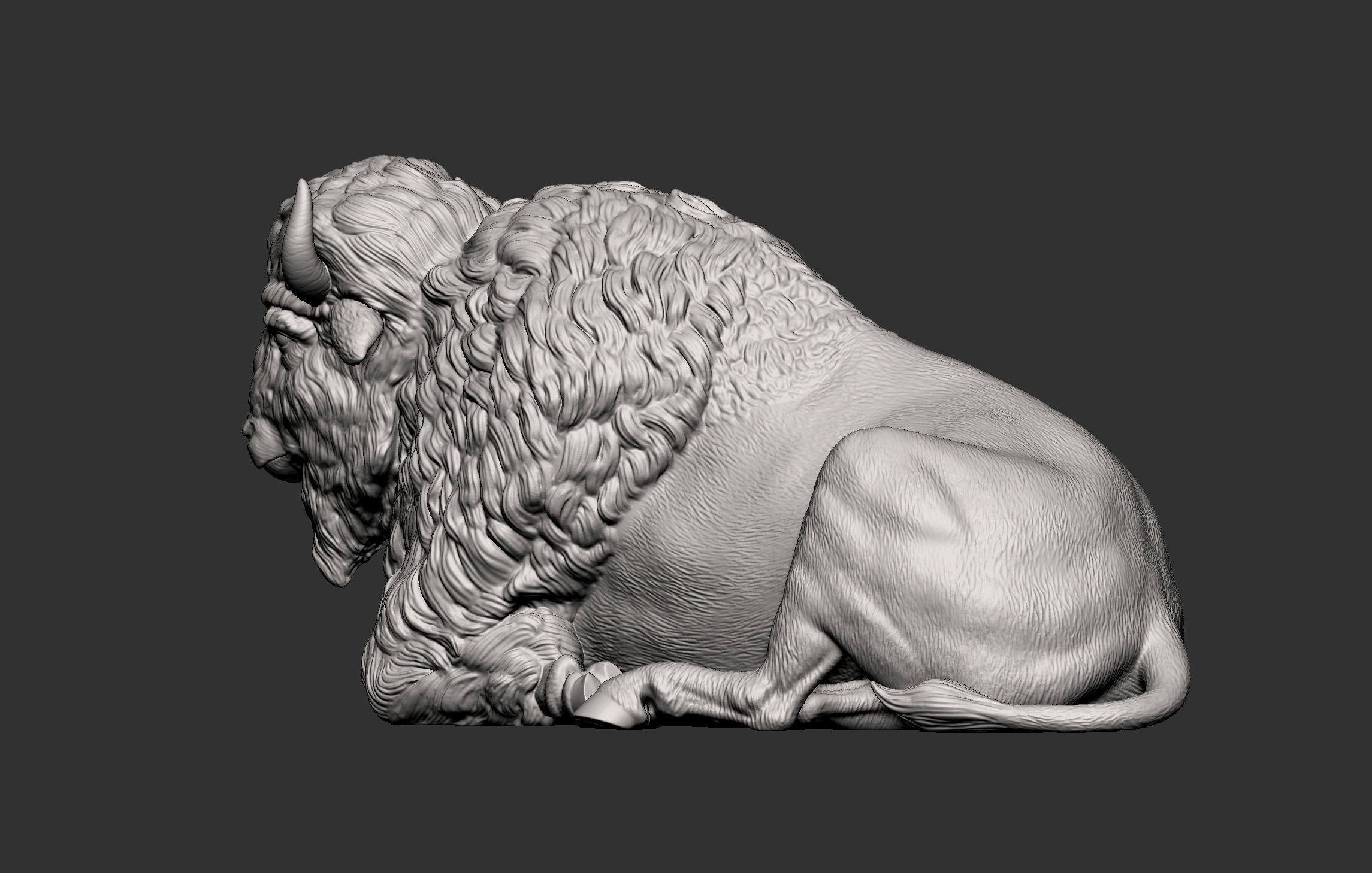 Bison 3D print model_12