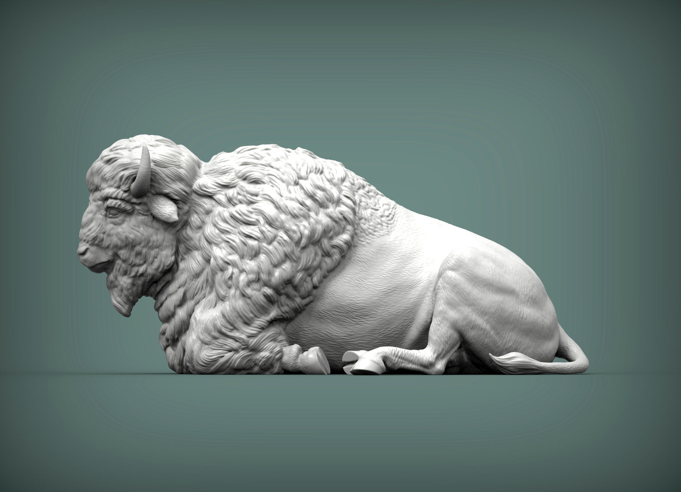 Bison 3D print model_1