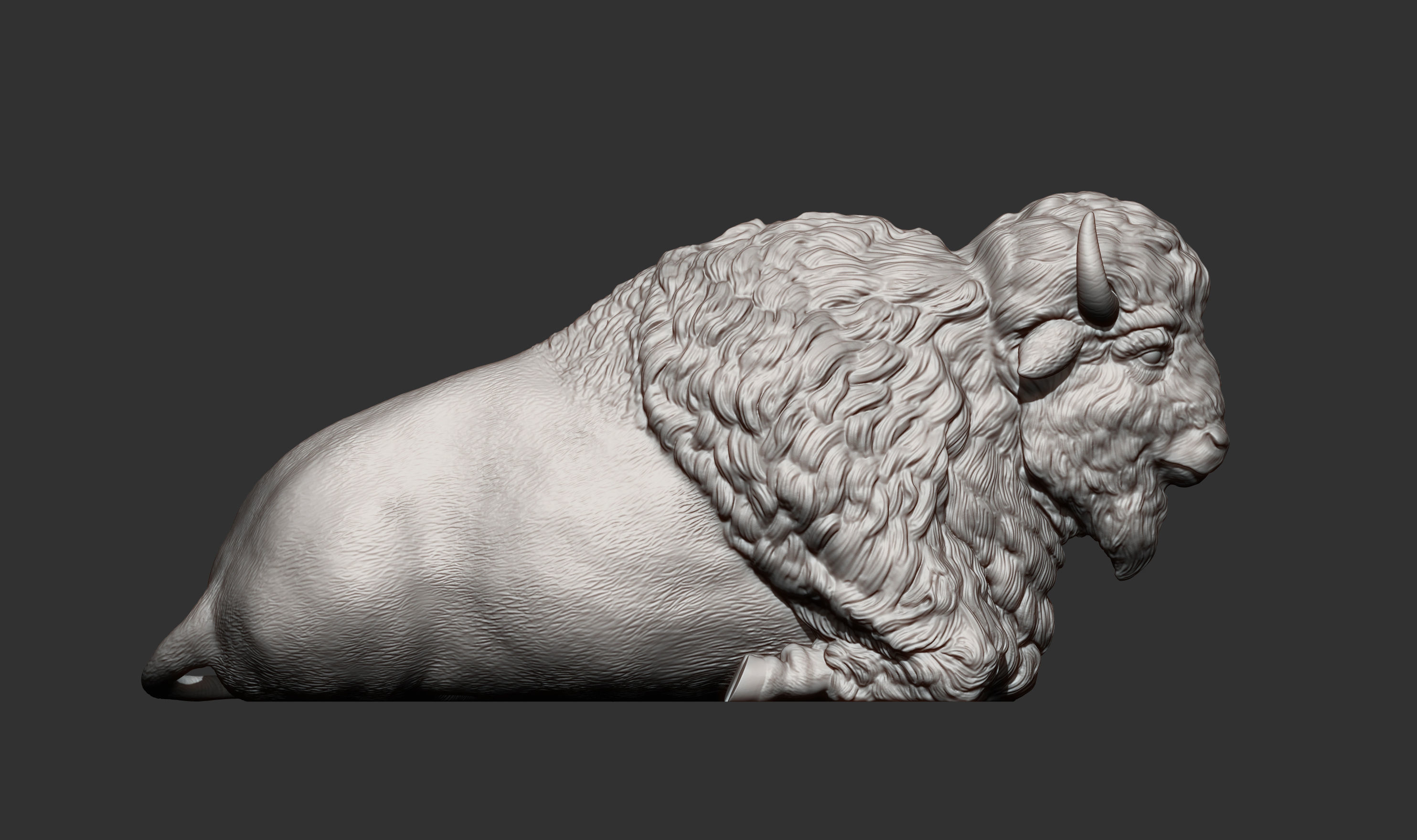 Bison 3D print model_11