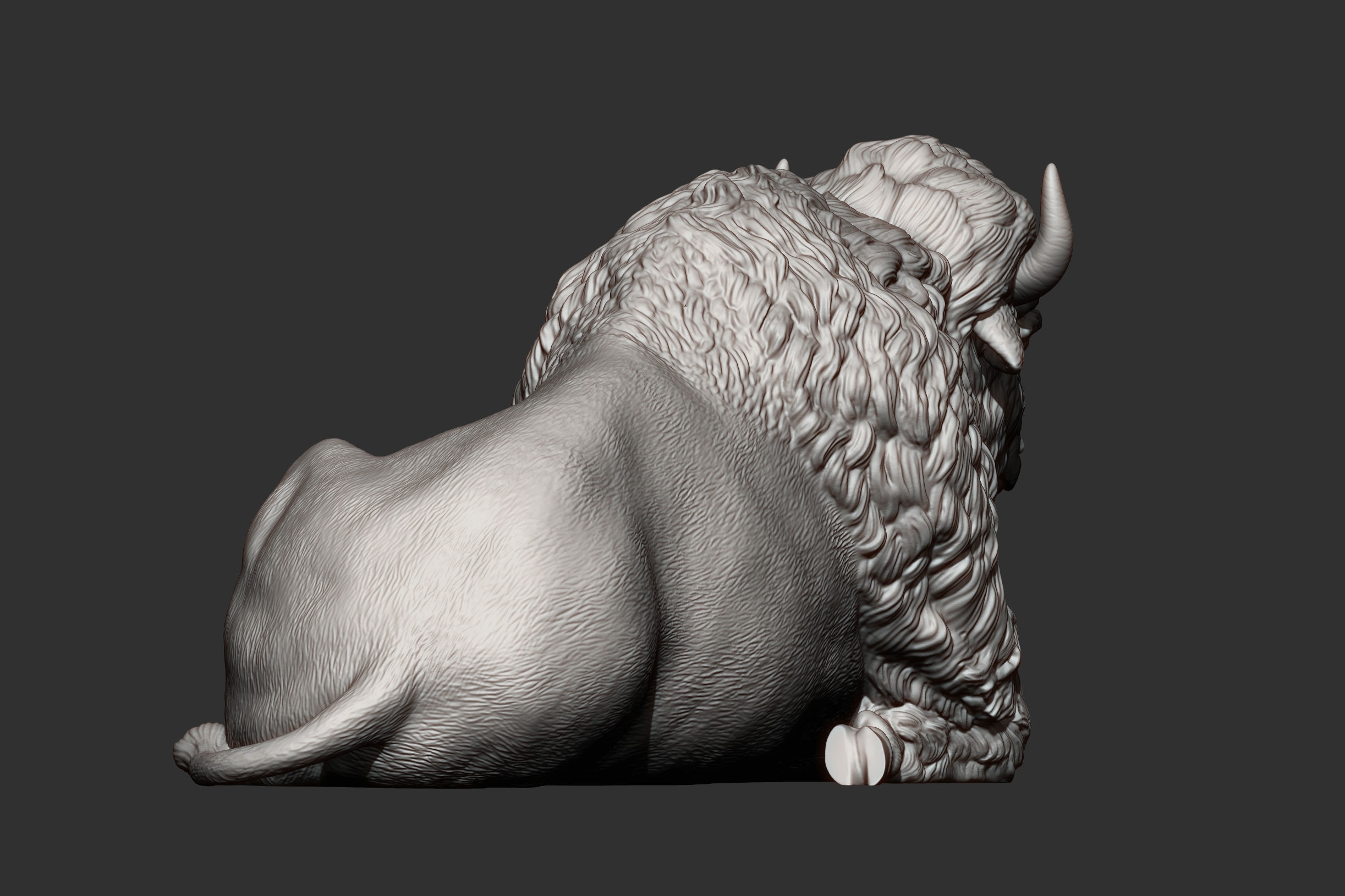 Bison 3D print model_6