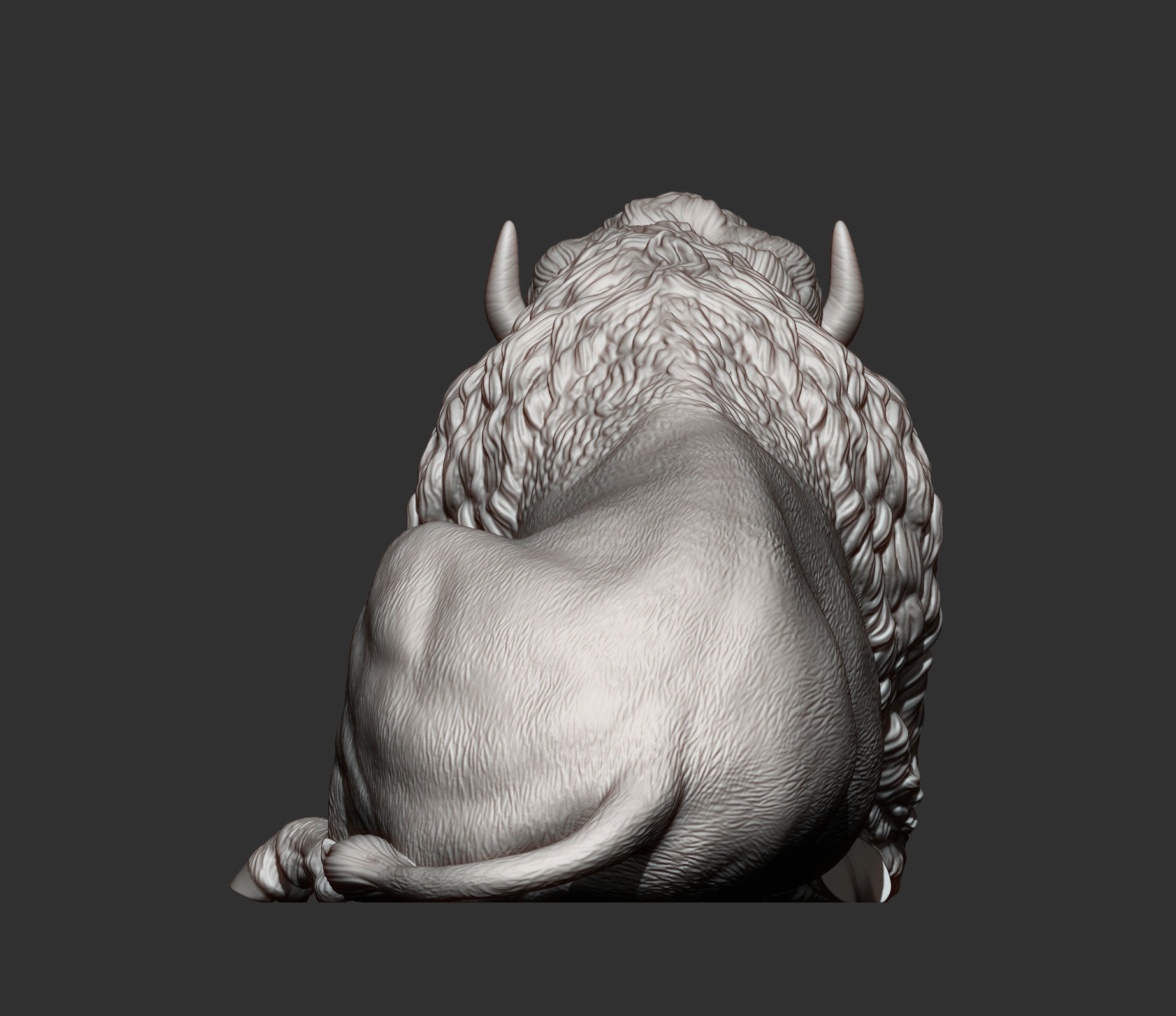 Bison 3D print model_7