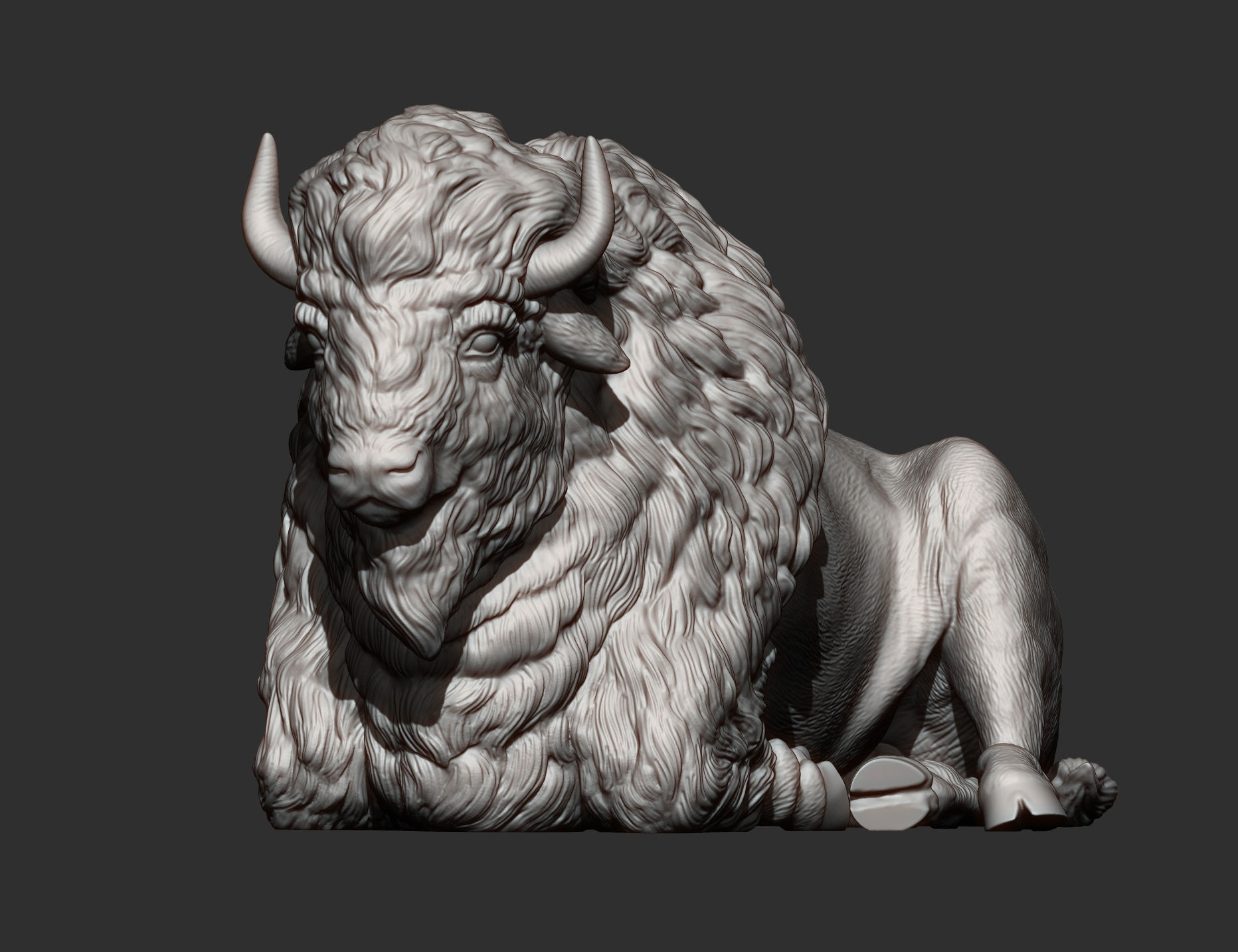 Bison 3D print model_9