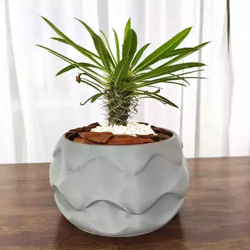 Decorative design vase for plants 3D print model