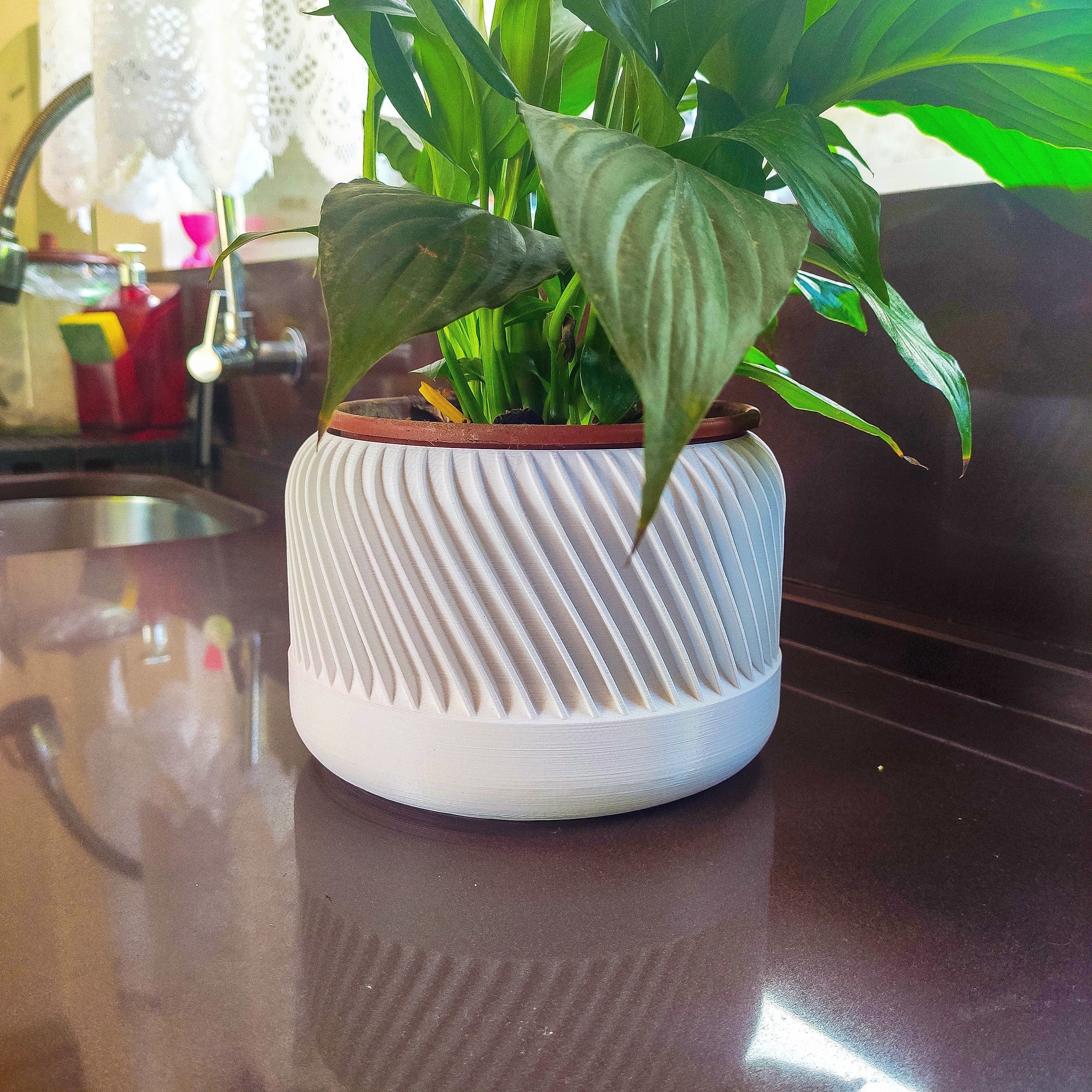 Plant pot with different design 3d 3D print model_2