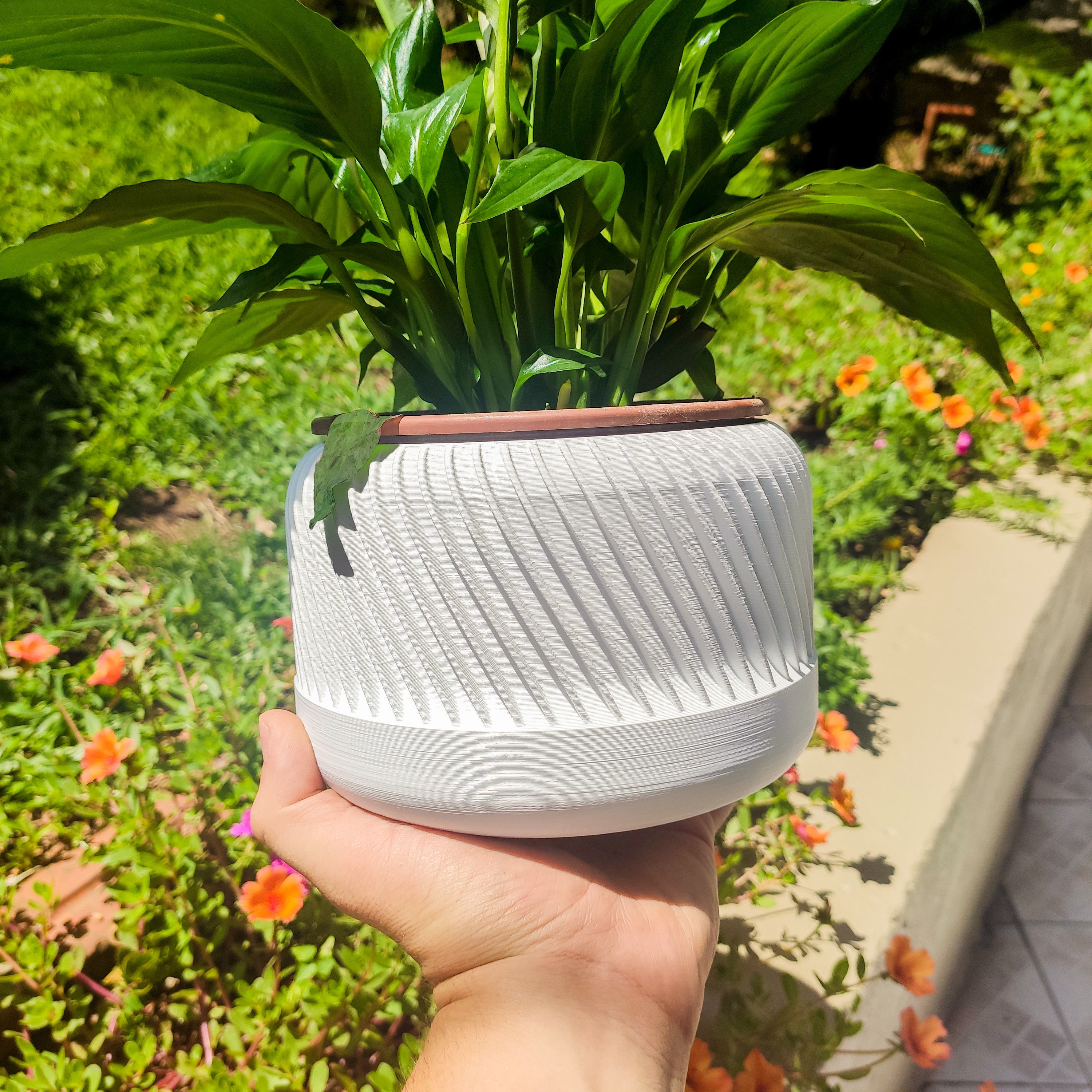 Plant pot with different design 3d 3D print model_4
