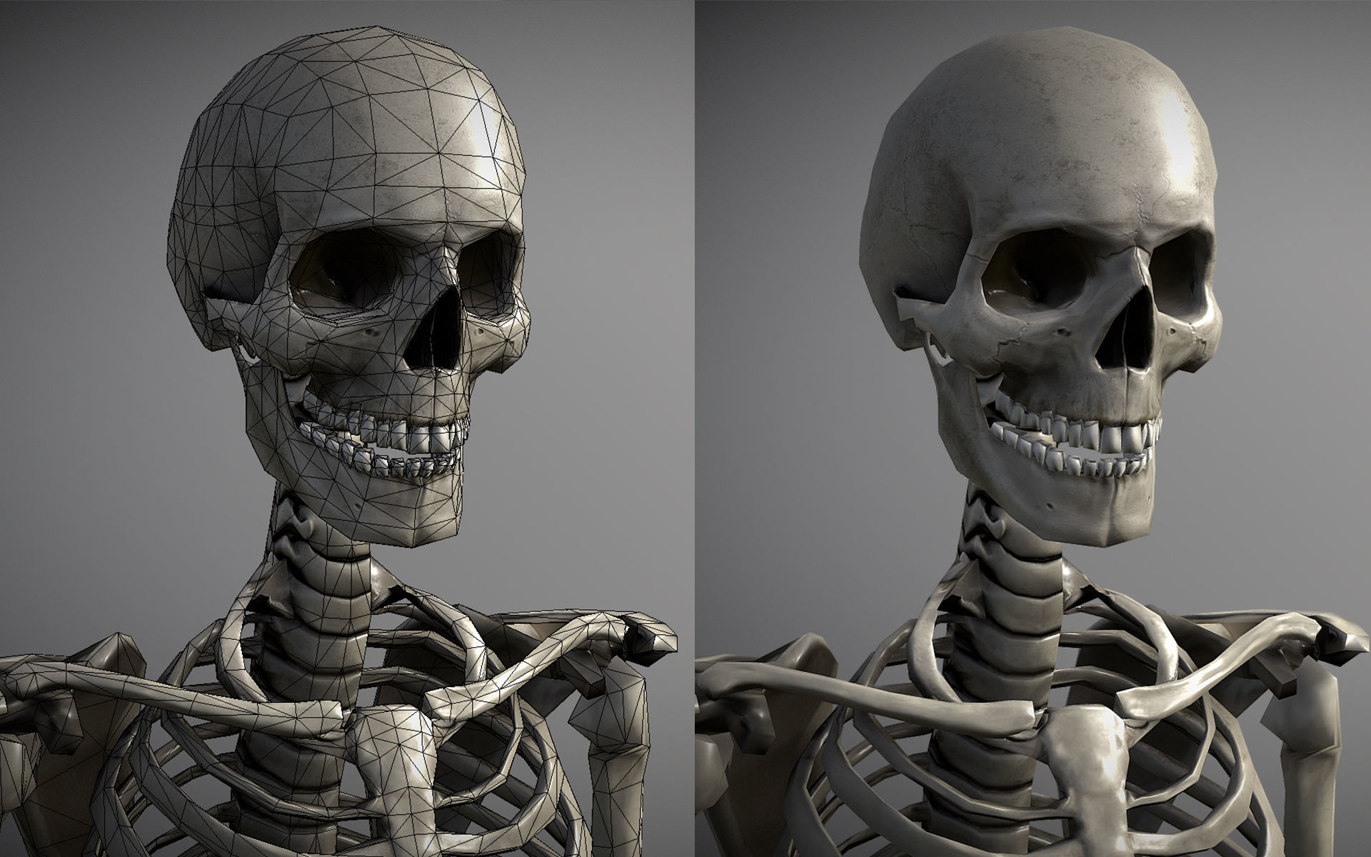 Lowpoly Human Skeleton Low-poly 3D model_9