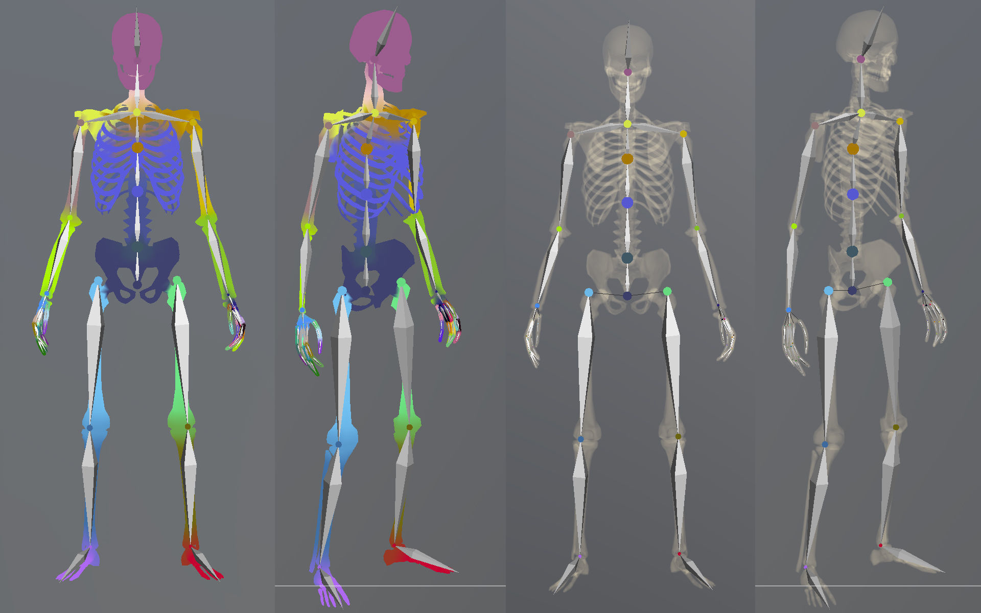 Lowpoly Human Skeleton Low-poly 3D model_6