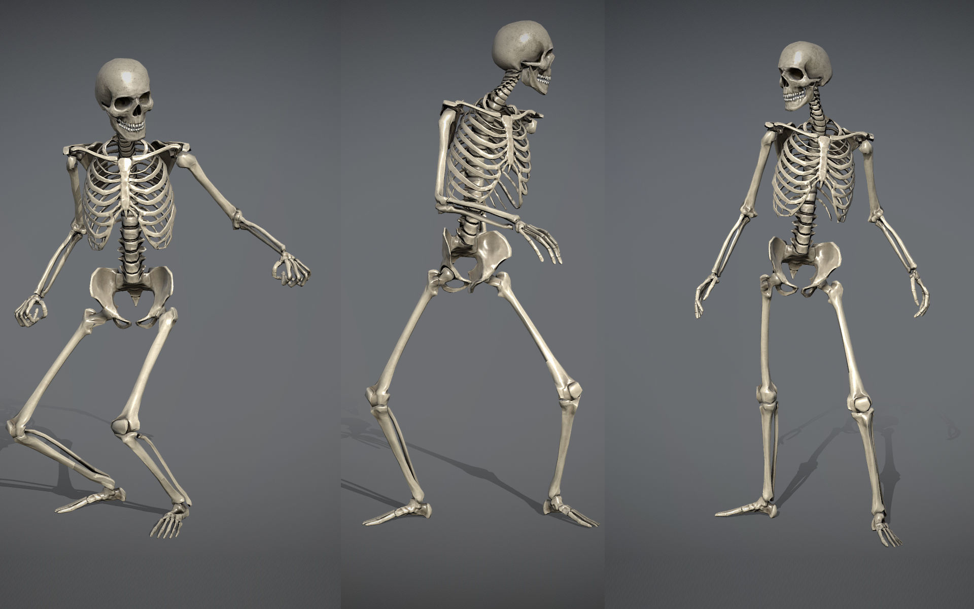 Lowpoly Human Skeleton Low-poly 3D model_1