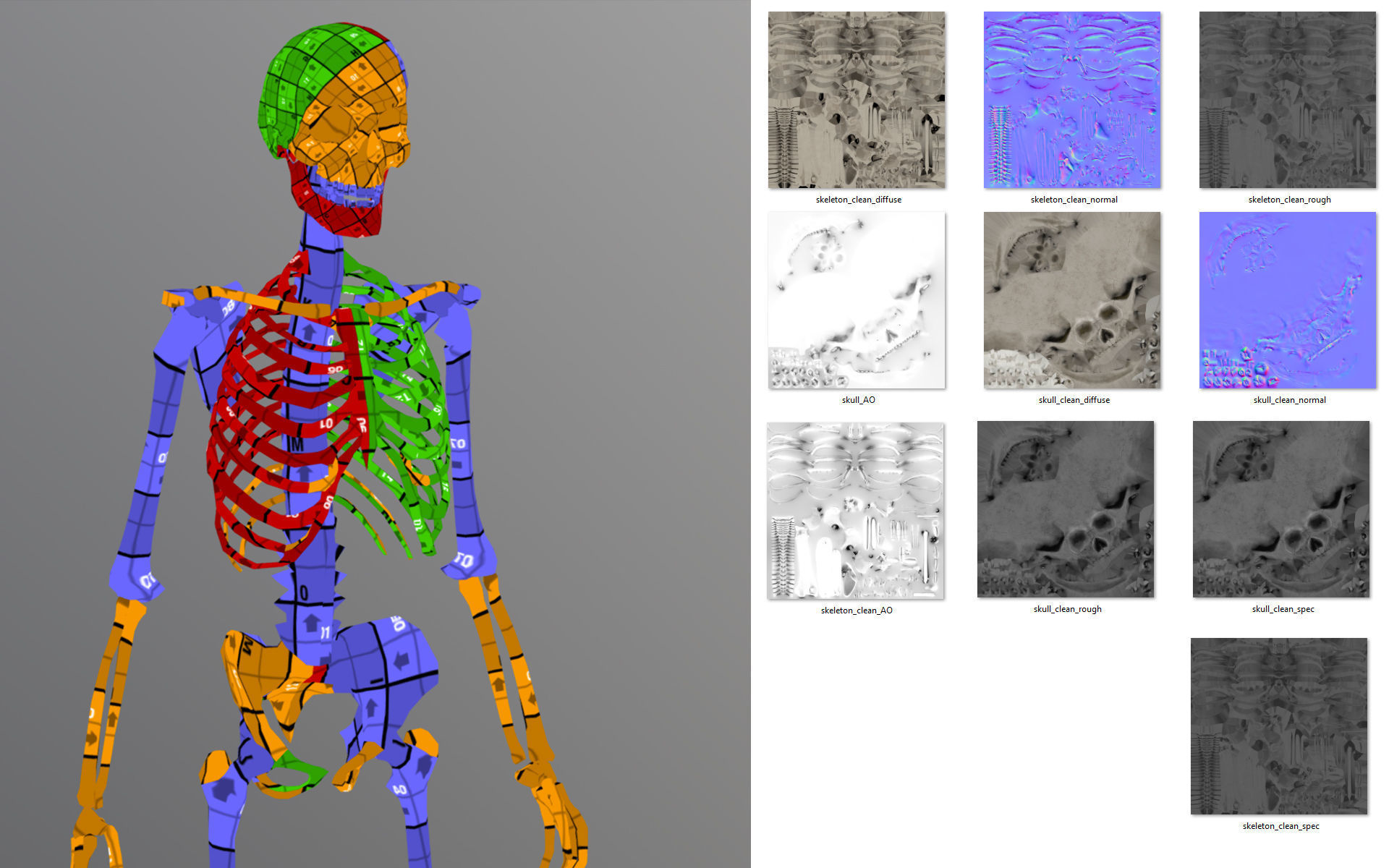 Lowpoly Human Skeleton Low-poly 3D model_8