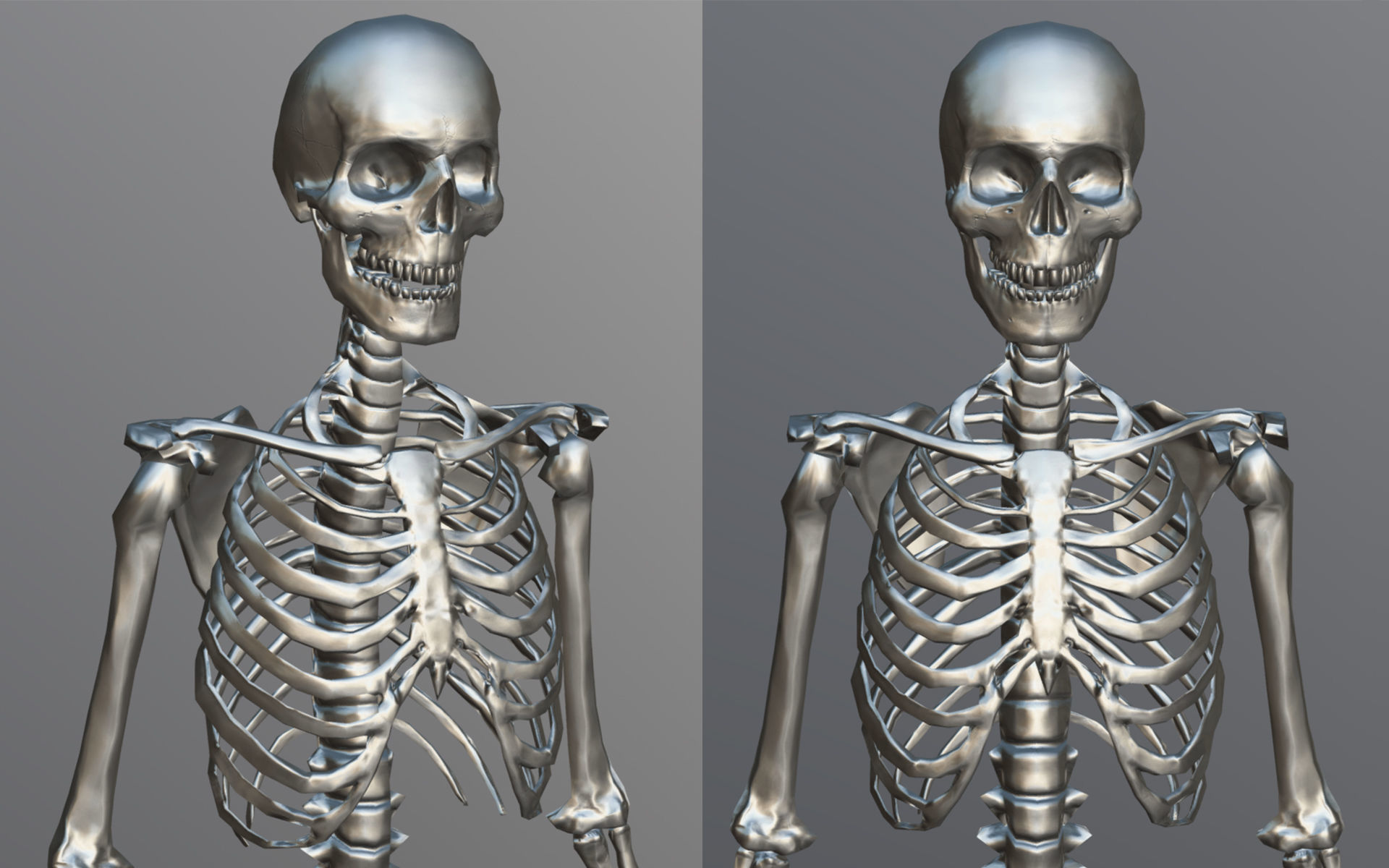 Lowpoly Human Skeleton Low-poly 3D model_4