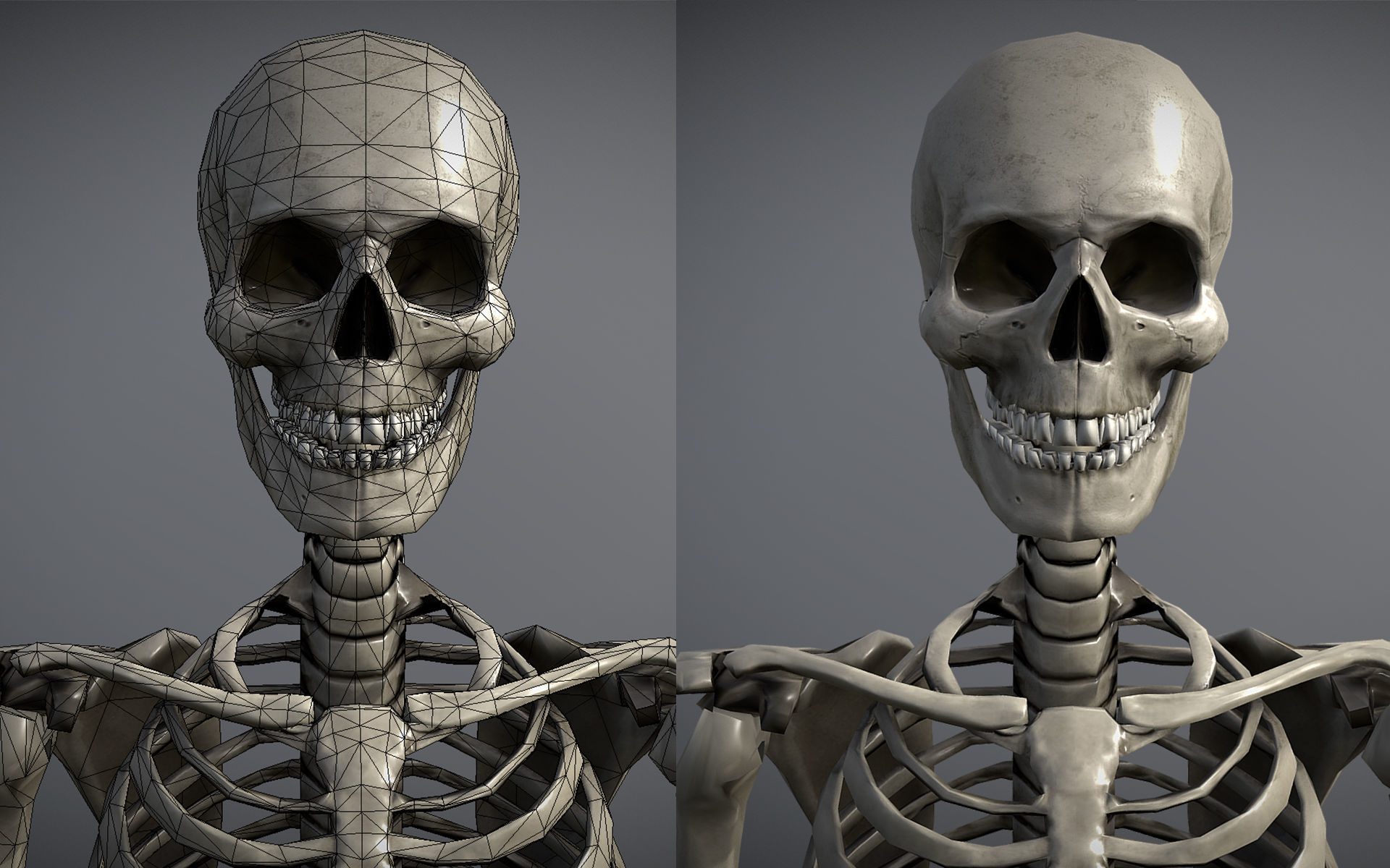 Lowpoly Human Skeleton Low-poly 3D model_10
