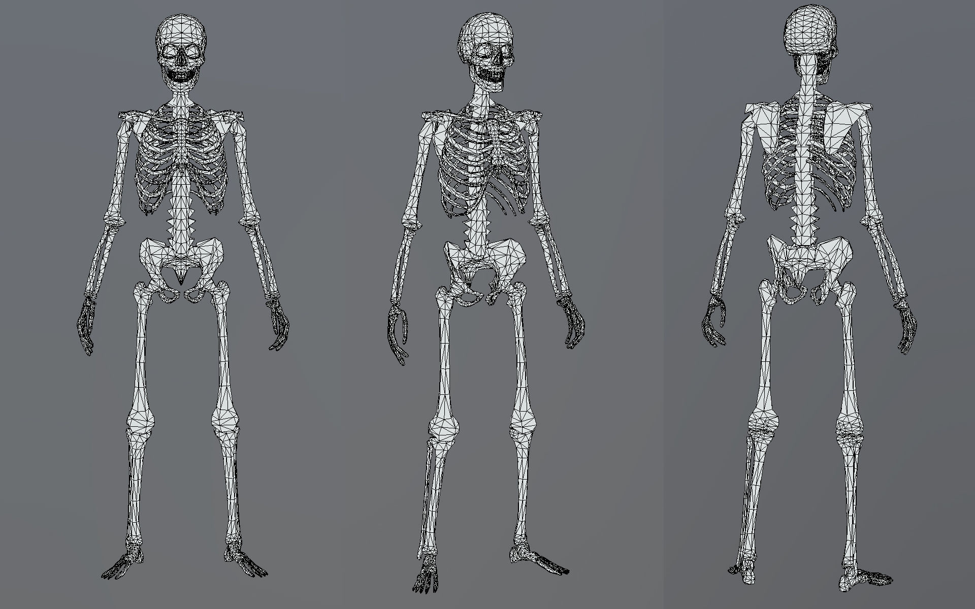 Lowpoly Human Skeleton Low-poly 3D model_7