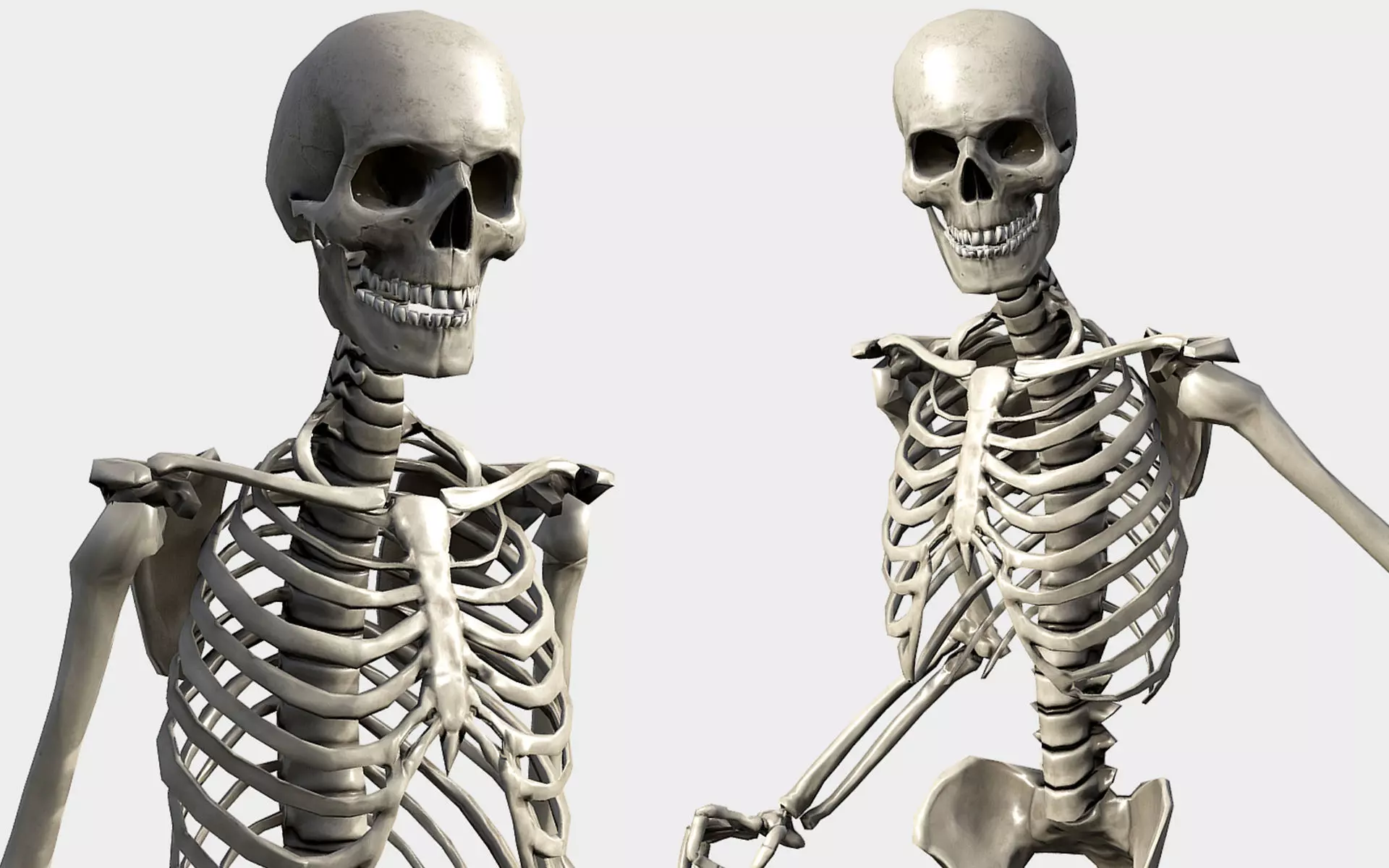 Lowpoly Human Skeleton Low-poly 3D model_0