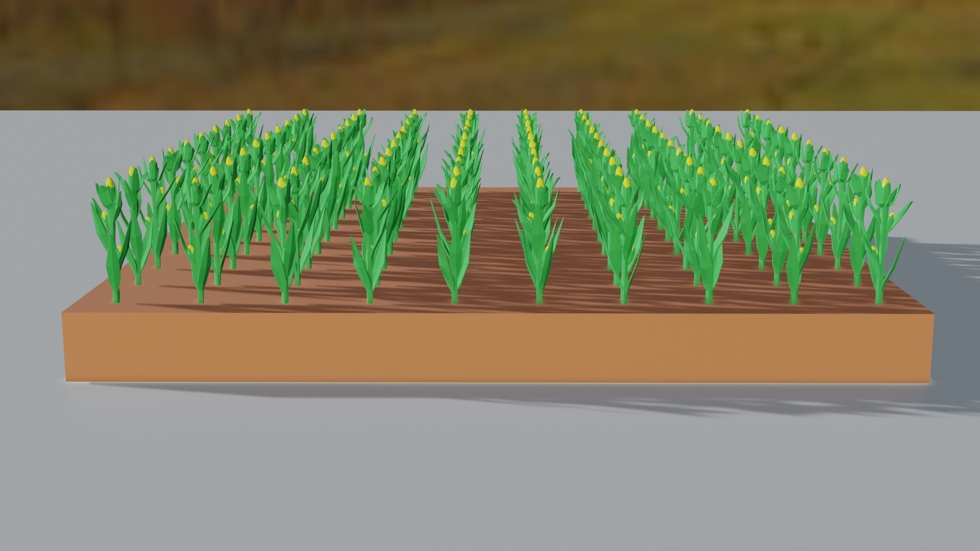 Corn field isometric Low-poly 3D model_9