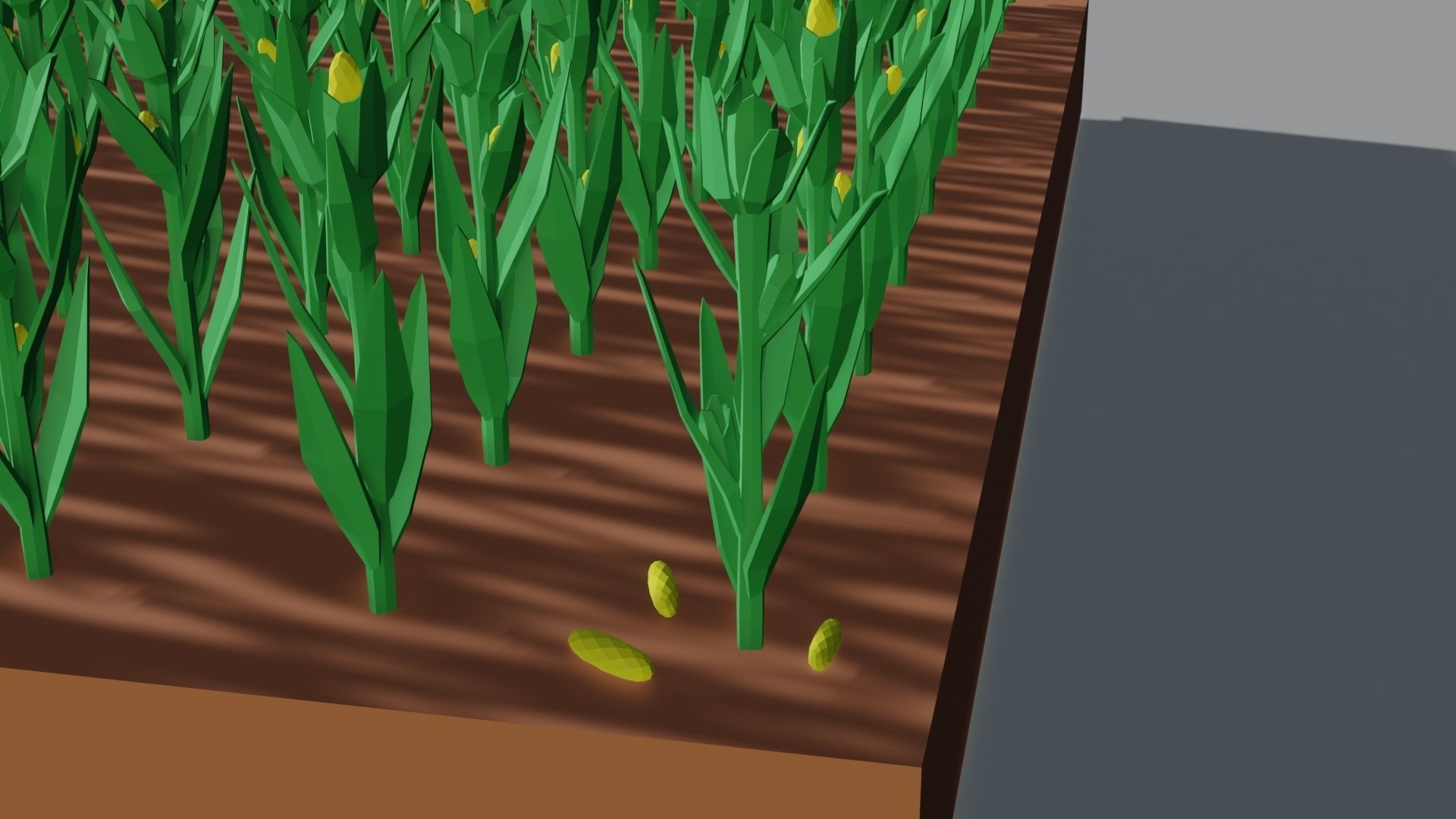 Corn field isometric Low-poly 3D model_3