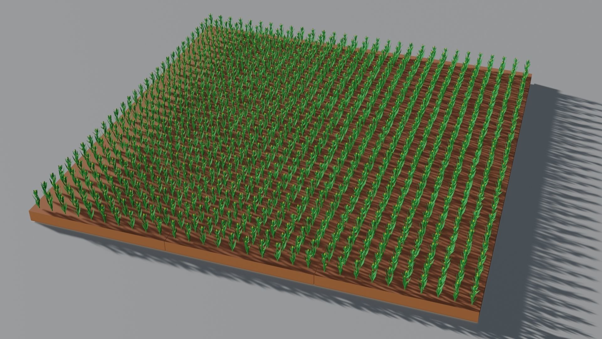 Corn field isometric Low-poly 3D model_5
