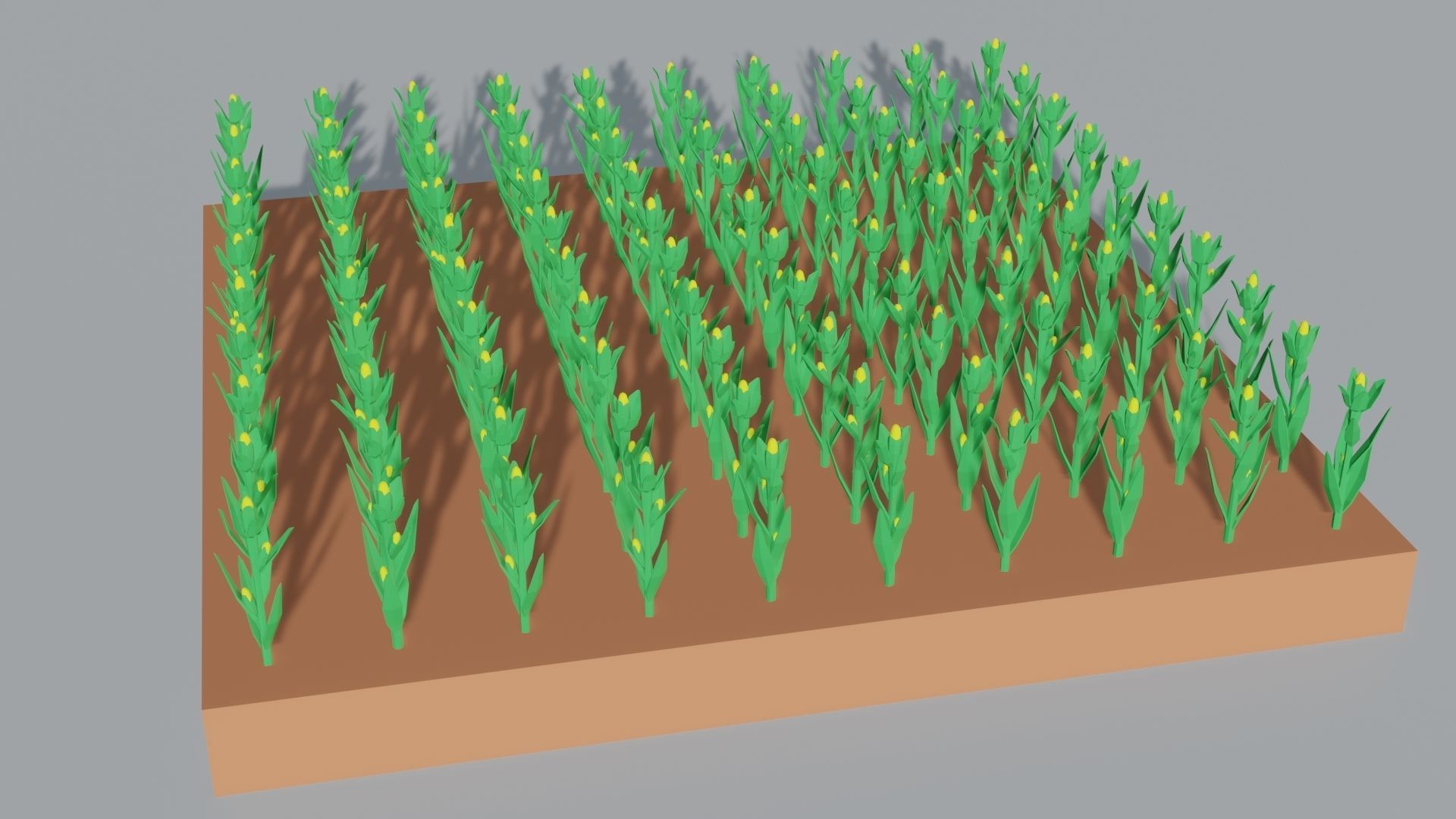 Corn field isometric Low-poly 3D model_10