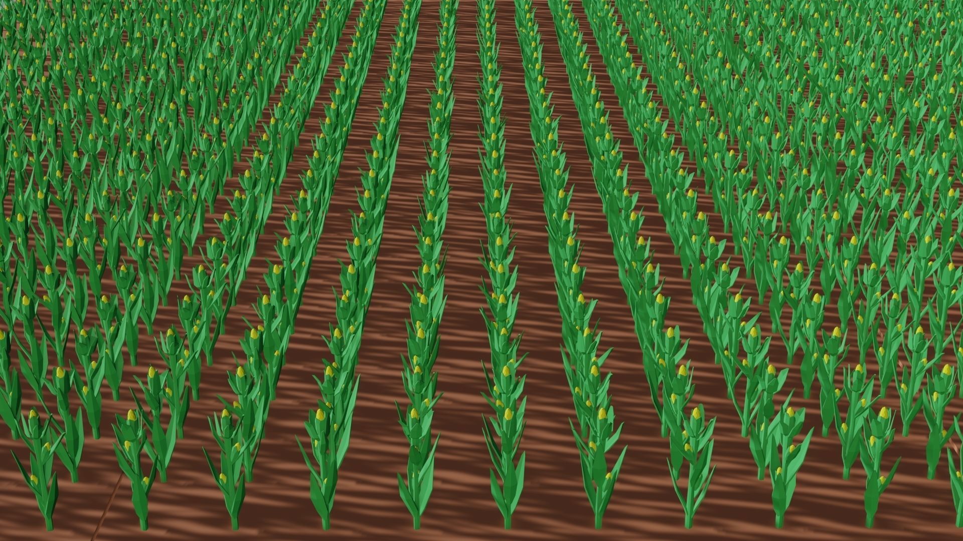 Corn field isometric Low-poly 3D model_4