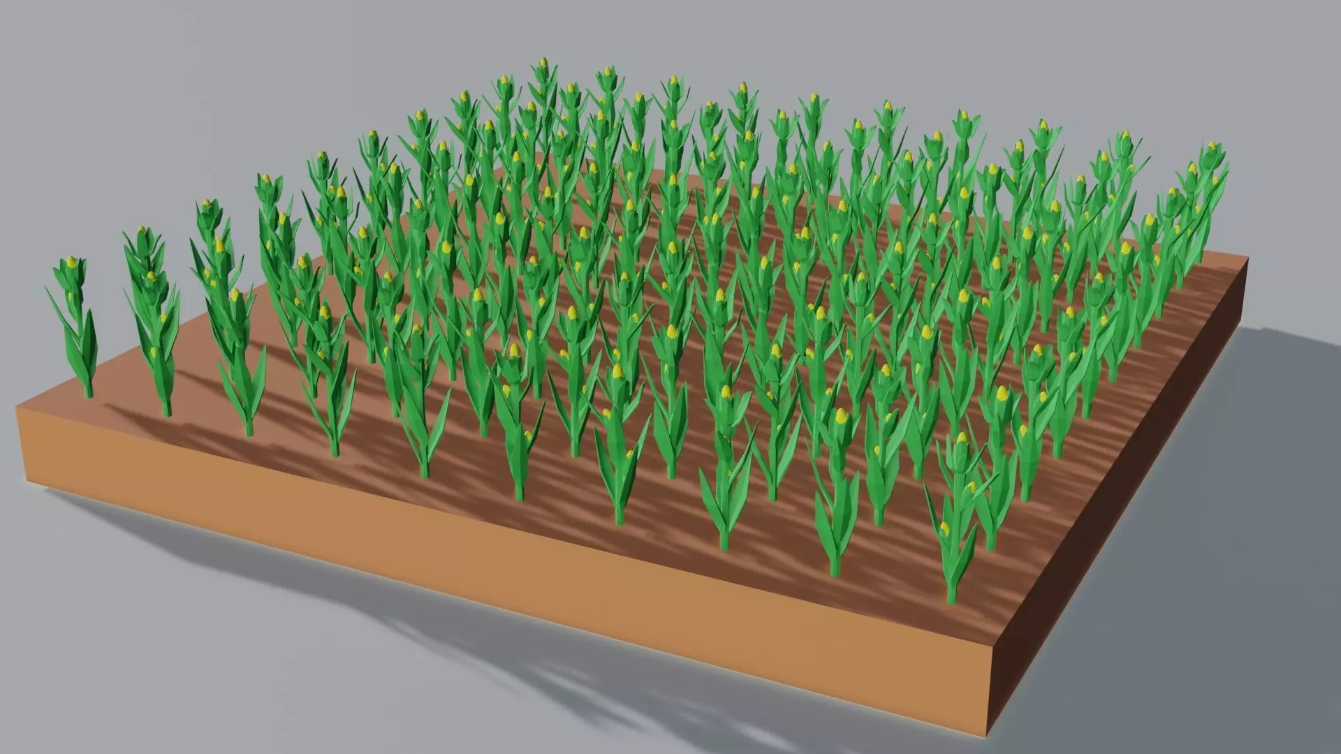 Corn field isometric Low-poly 3D model_0