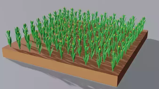Corn field isometric Low-poly 3D model
