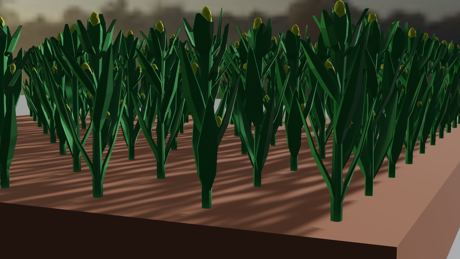 Corn field isometric Low-poly 3D model_13