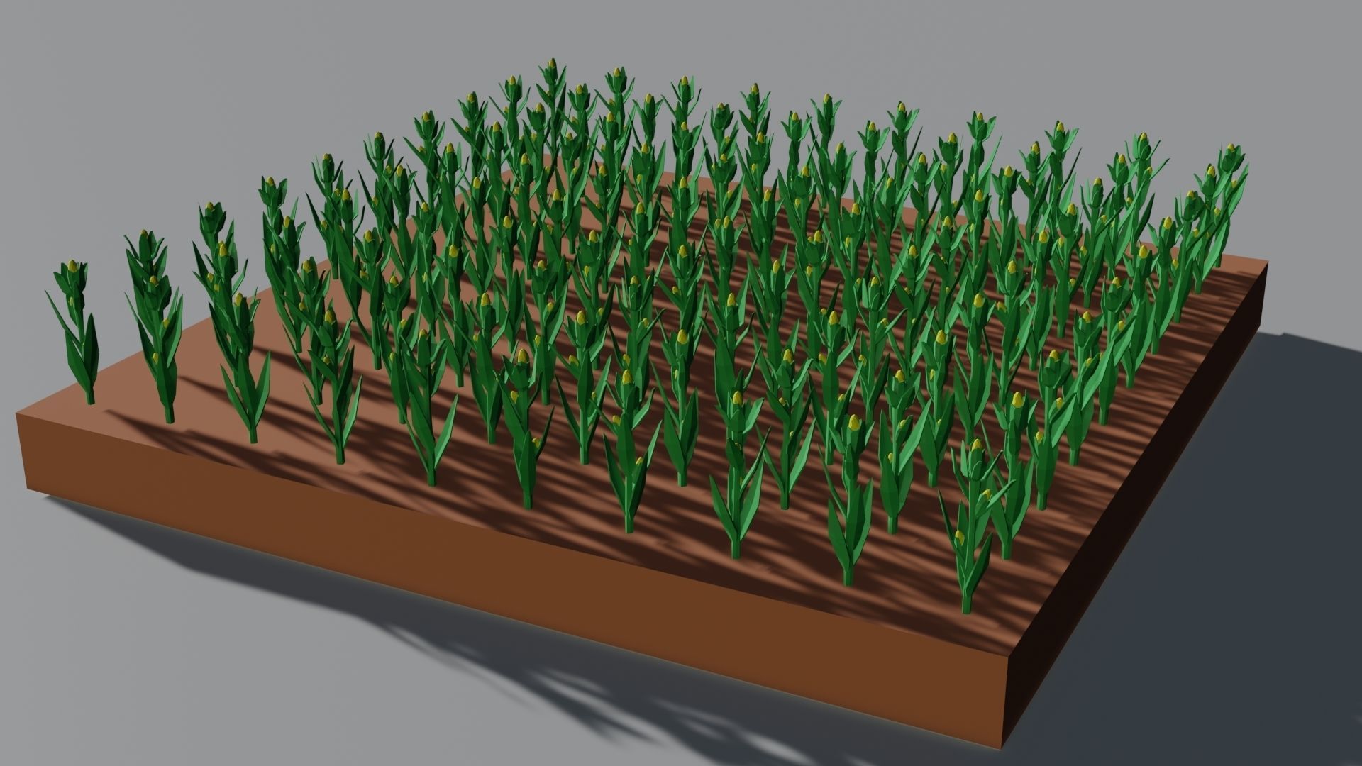 Corn field isometric Low-poly 3D model_1