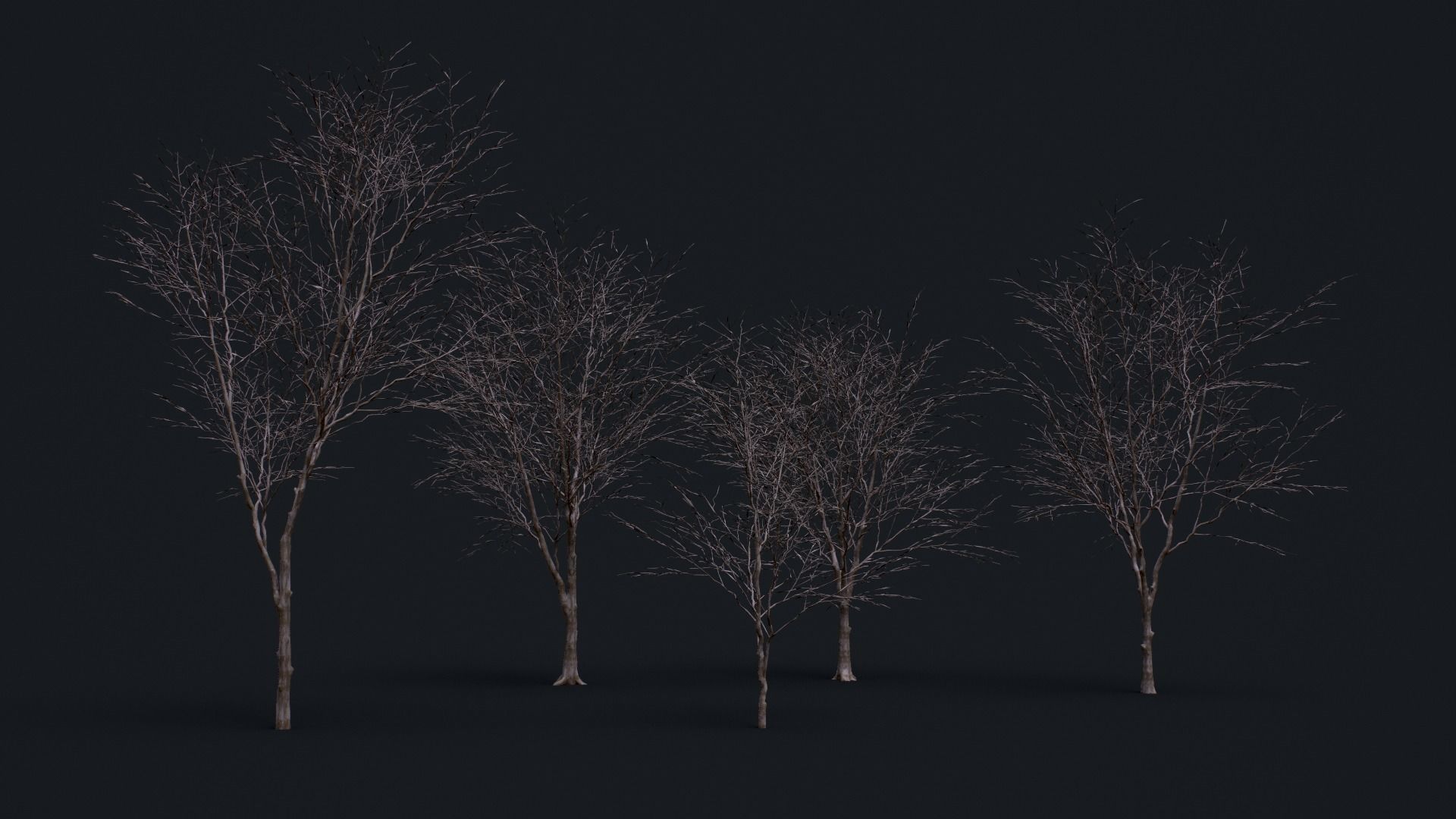Tree Pack  Low-poly 3D model_8