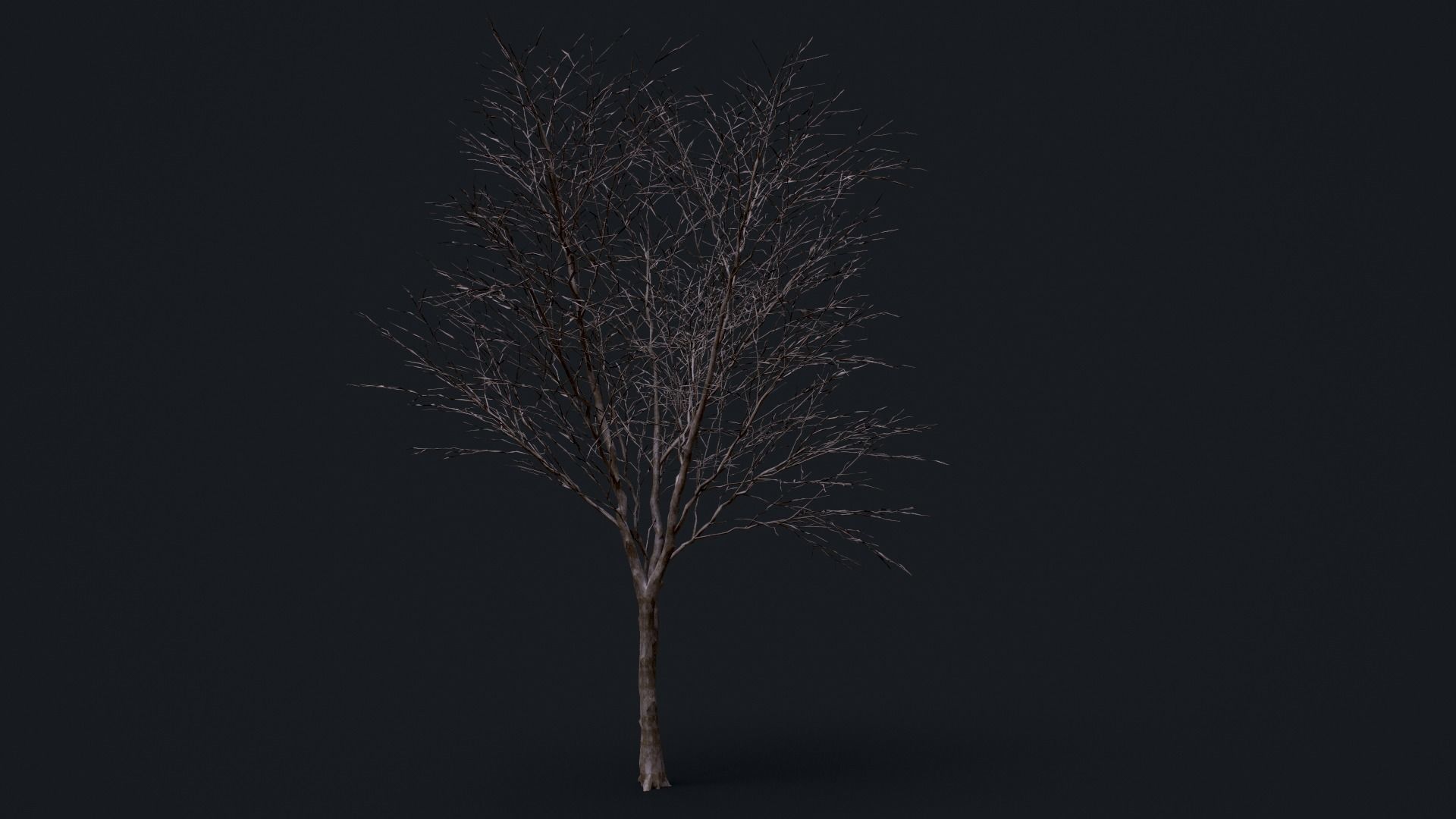 Tree Pack  Low-poly 3D model_10