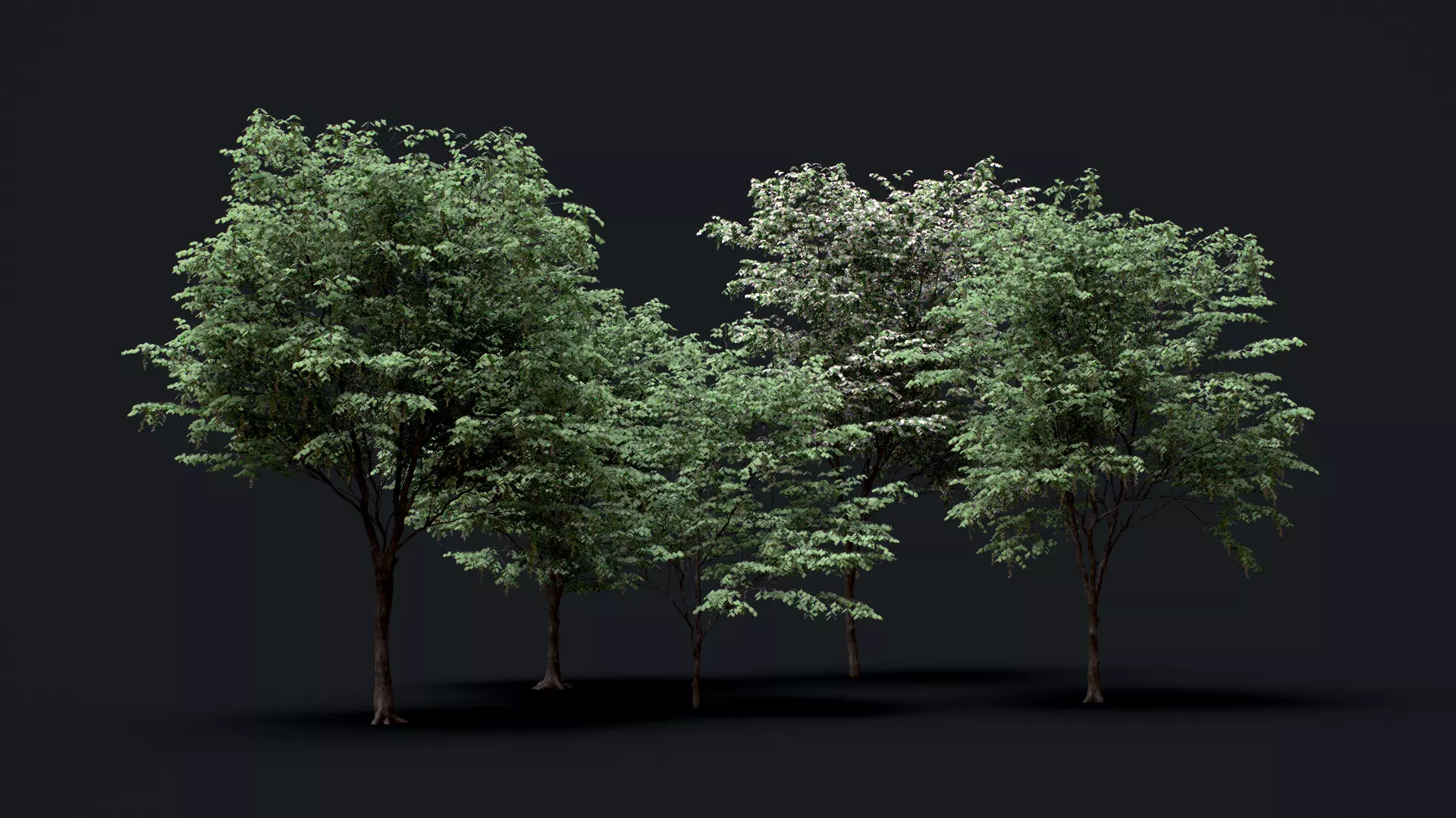 Tree Pack  Low-poly 3D model_0