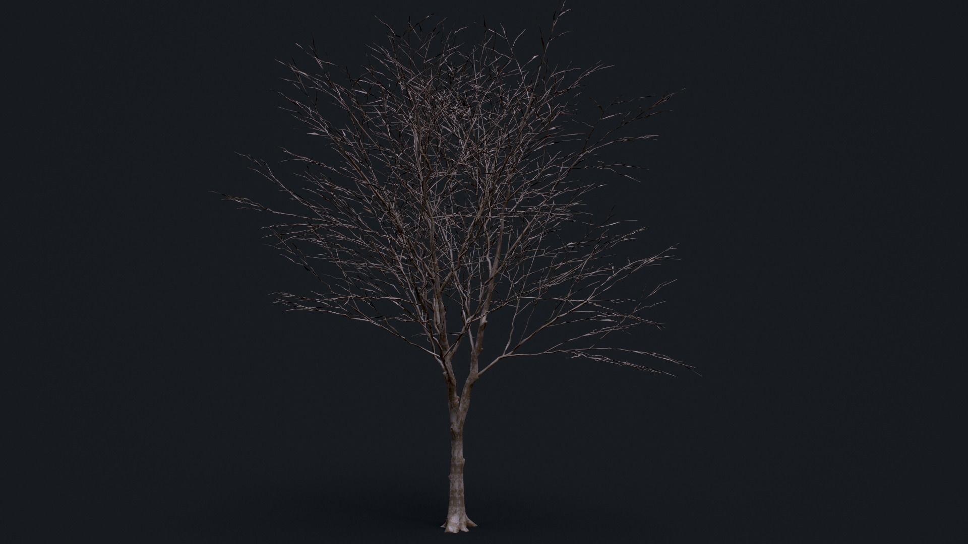 Tree Pack  Low-poly 3D model_12