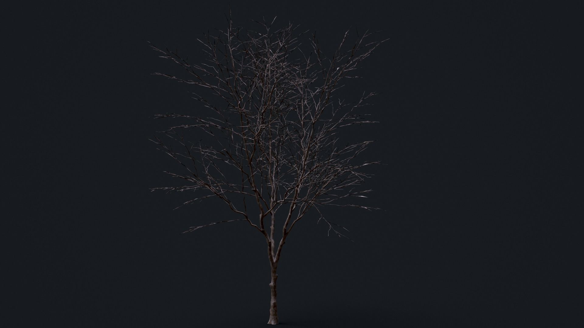 Tree Pack  Low-poly 3D model_11