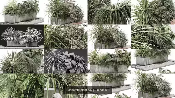concrete plant box
