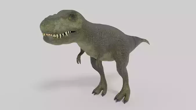 3D T-Rex Model t - rex dinosaur