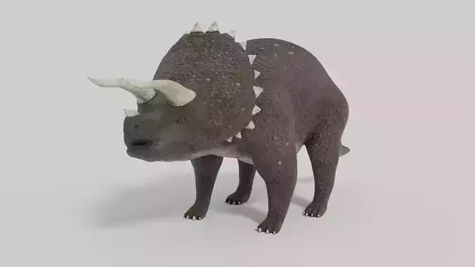 3D Triceratops Model dinosaur