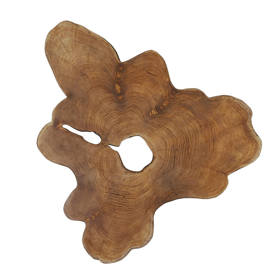 Andrianna Shamaris Amorphous Midcentury Style Coffee Table 3D model_3