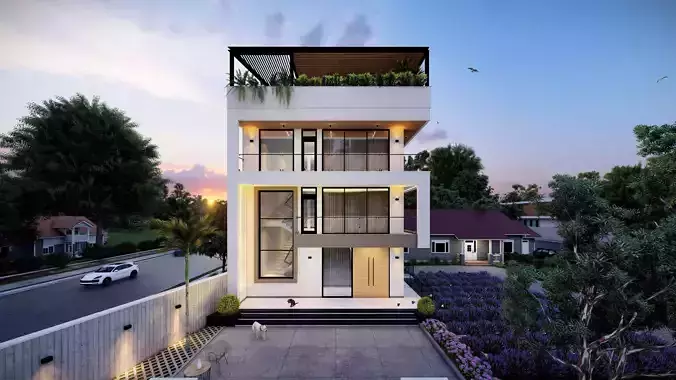 QD House - Architectural