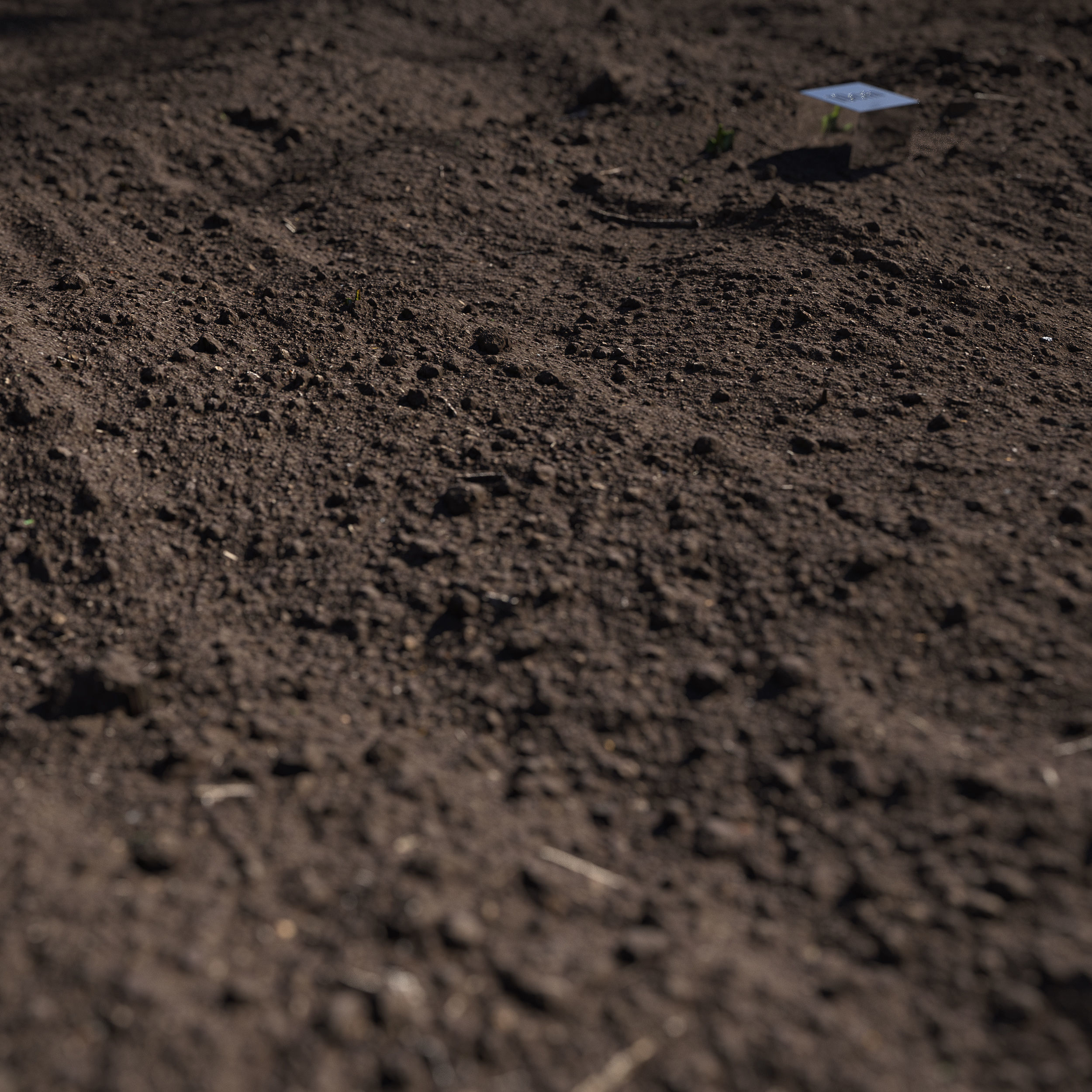 Ground square piece of dirt 3D model_2