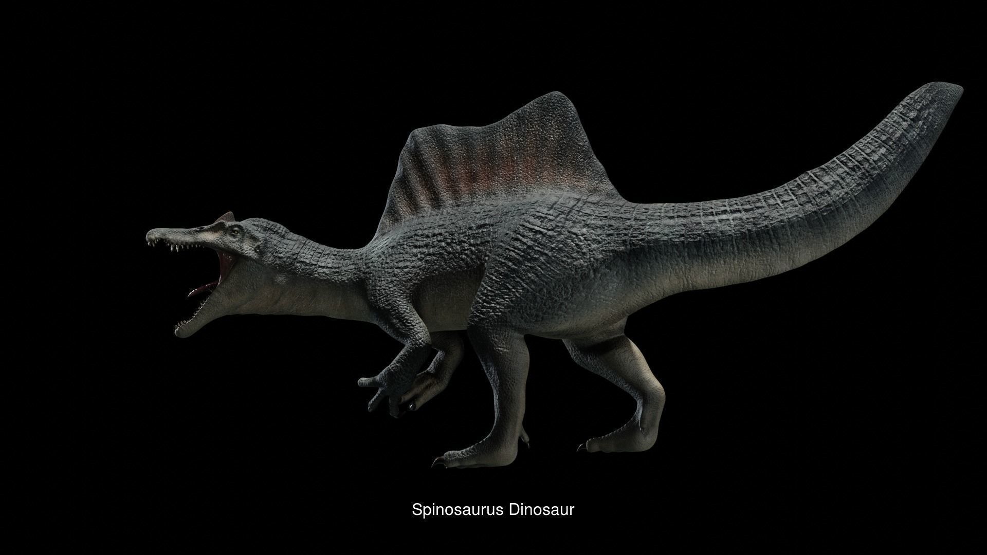 Theropod Dinosaurs 3D Model Collection_3