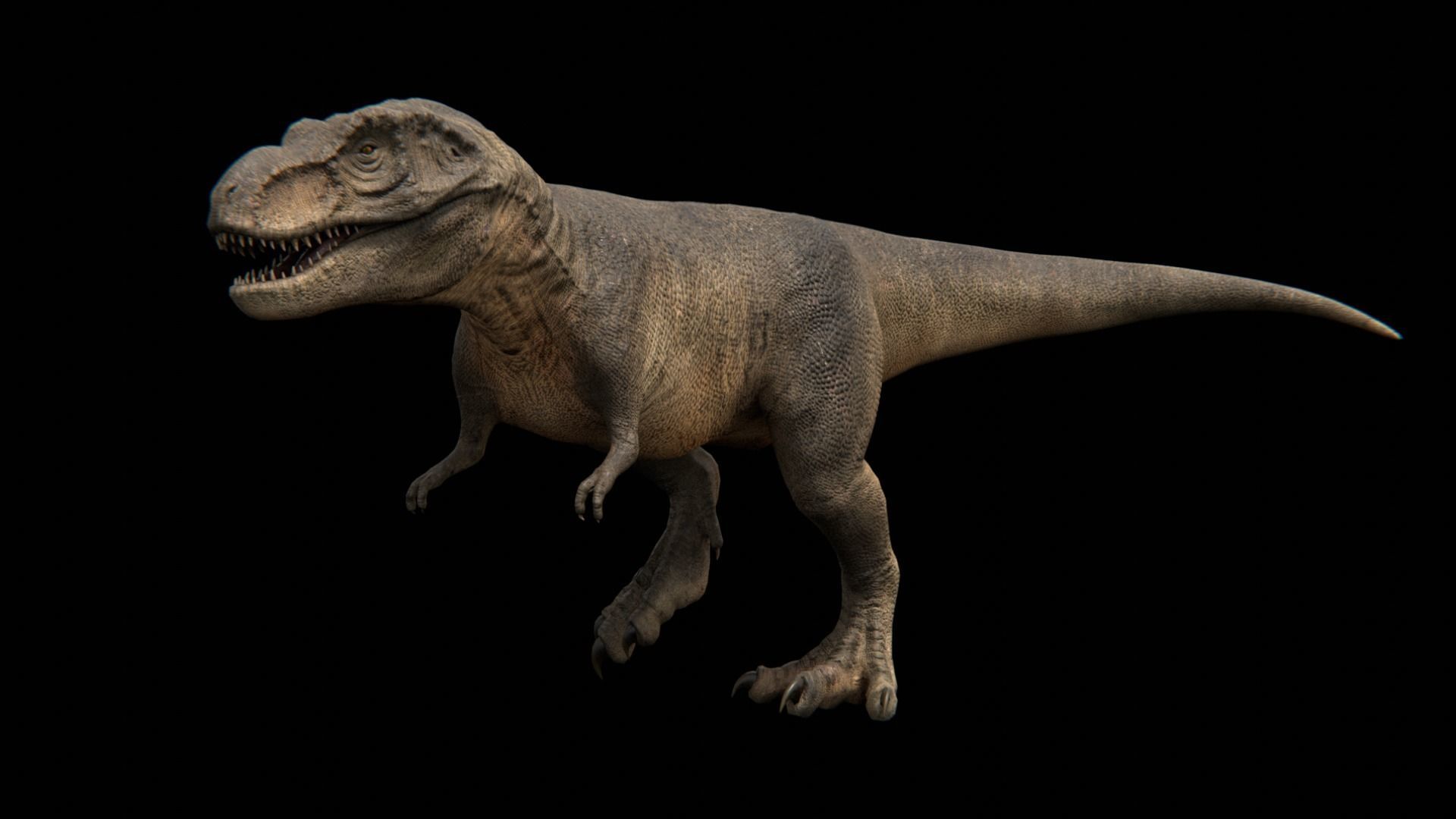 Theropod Dinosaurs 3D Model Collection_9