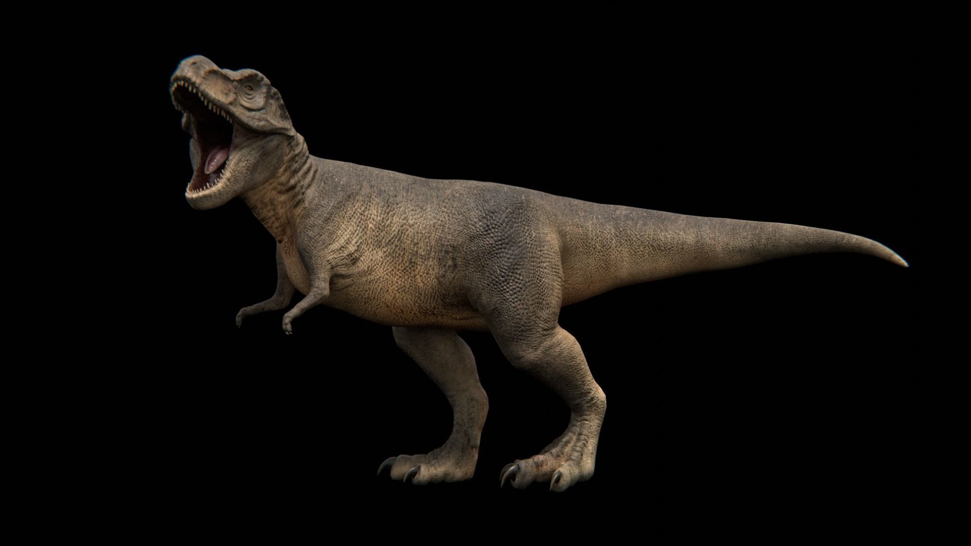Theropod Dinosaurs 3D Model Collection_5