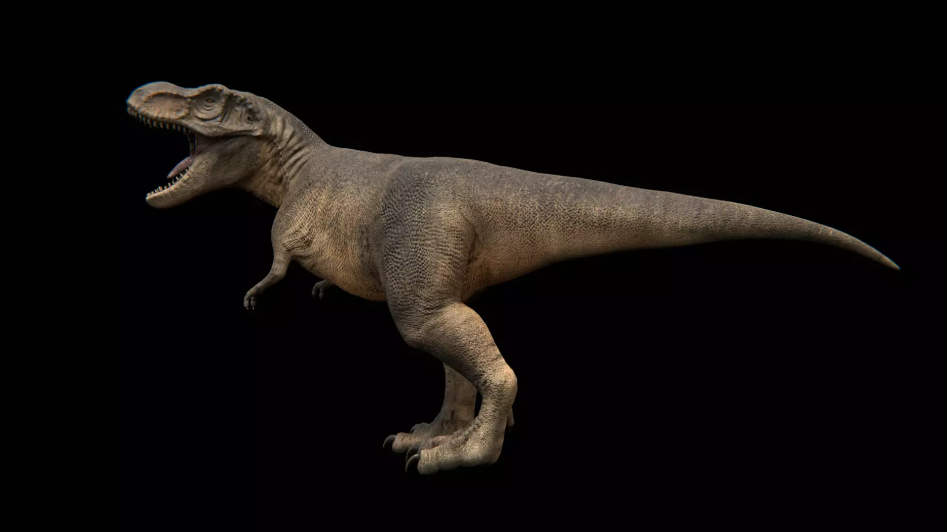 Theropod Dinosaurs 3D Model Collection_0